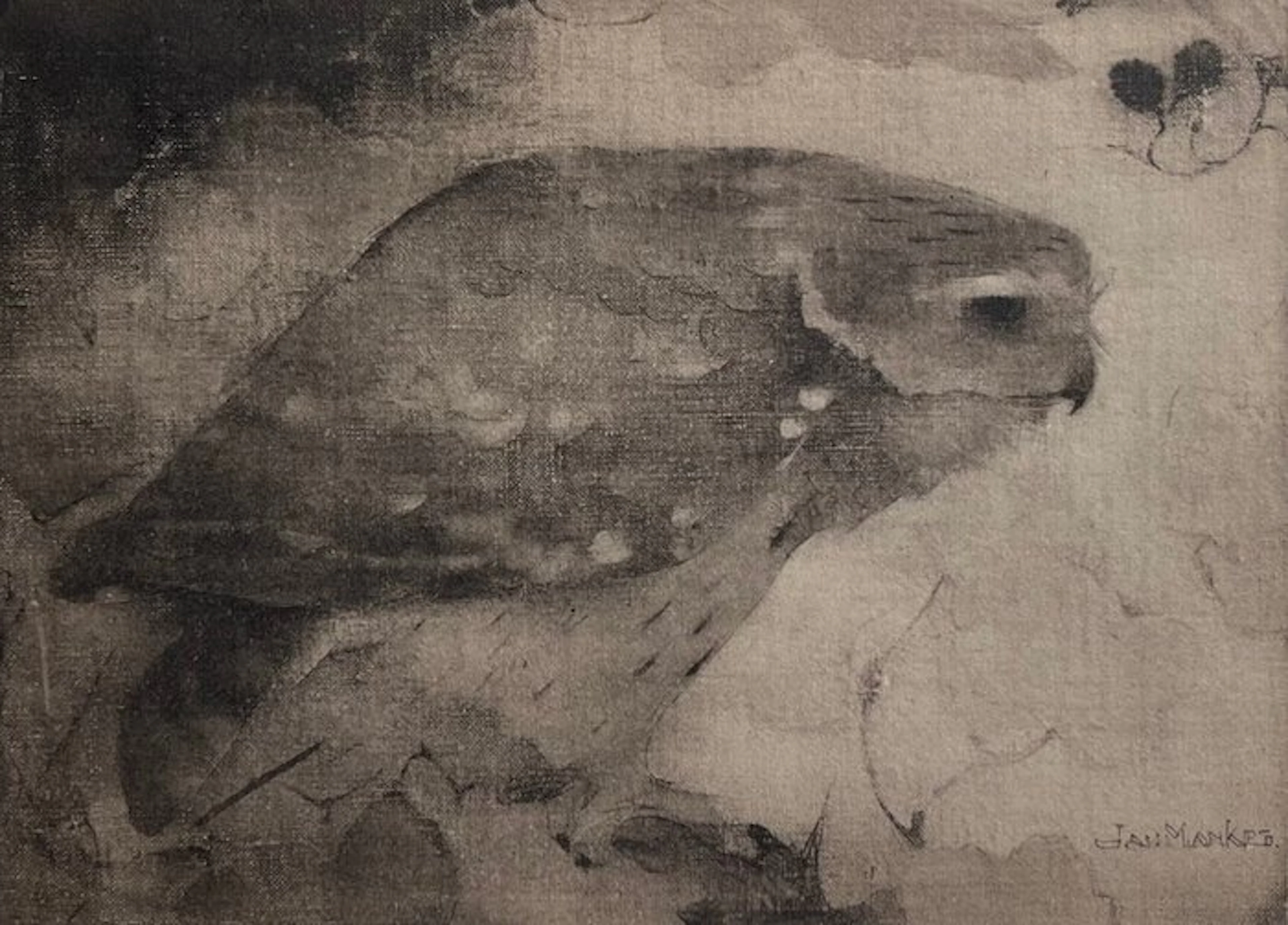 Jan Mankes (1889-1920) - Roofvogeltje op tak