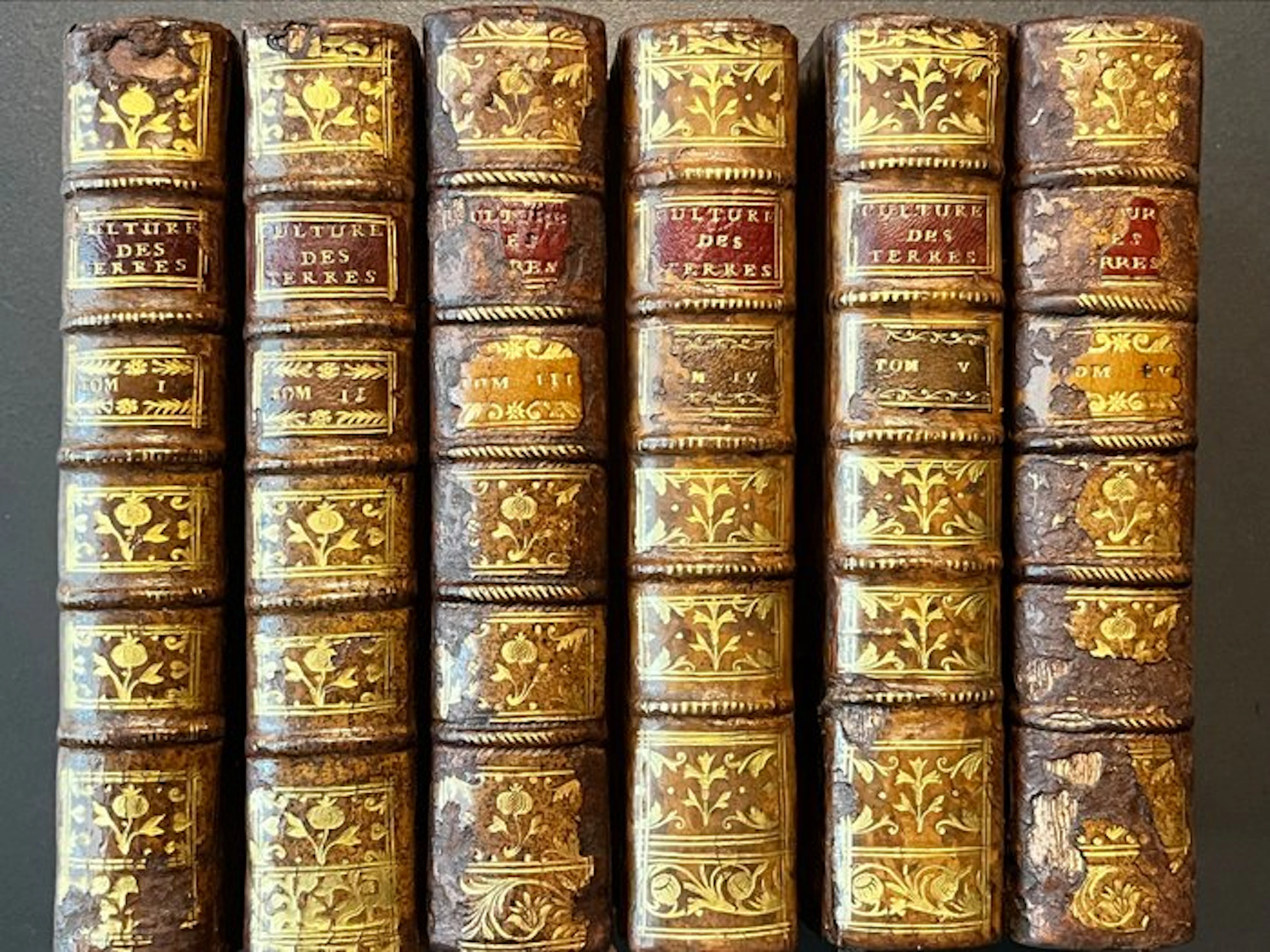M. Duhamel du Monceau - Traité de la culture des terres - 6 vol - 1753-1761