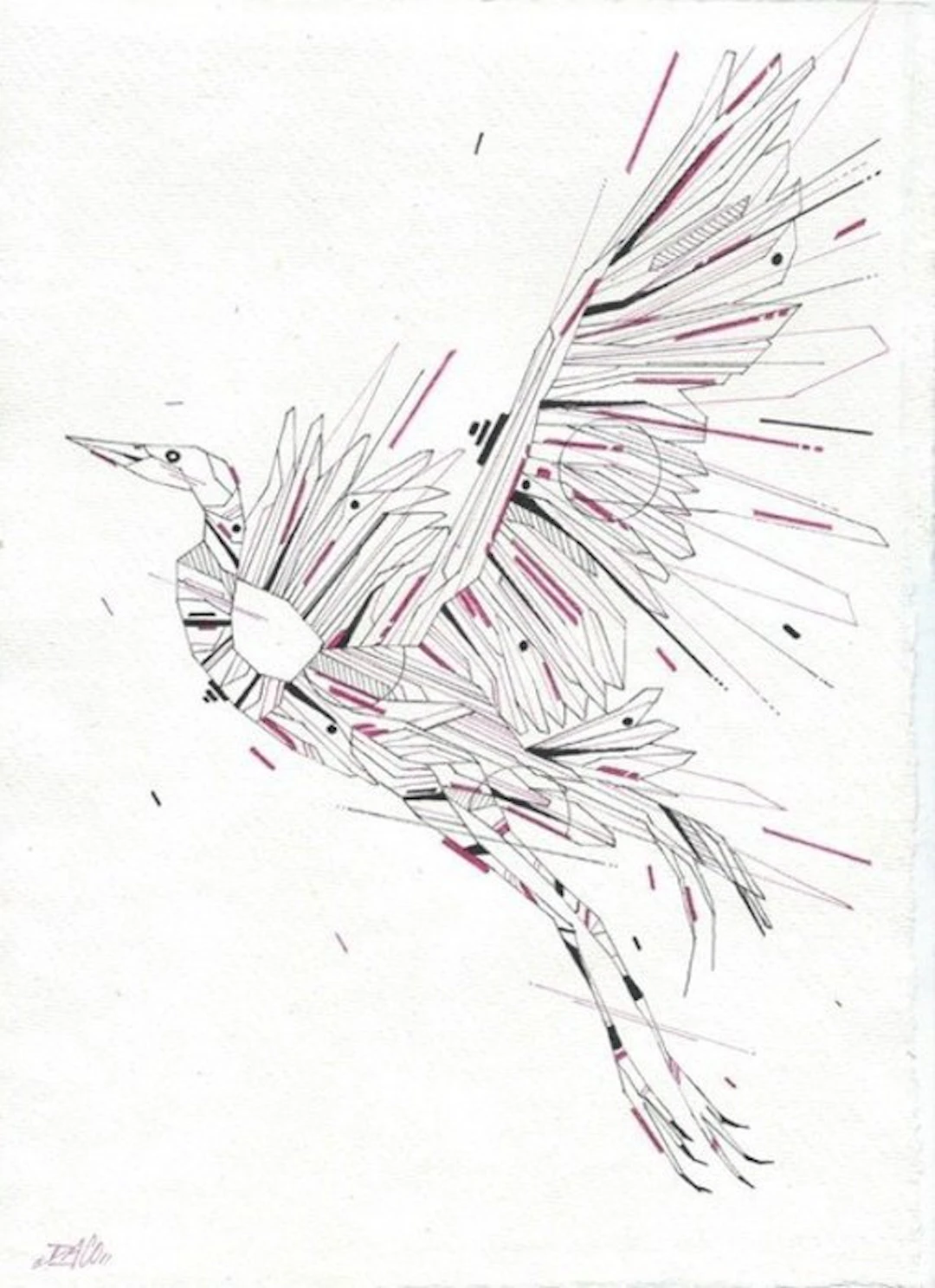 DACO (1980) - Graffaune Aigrette