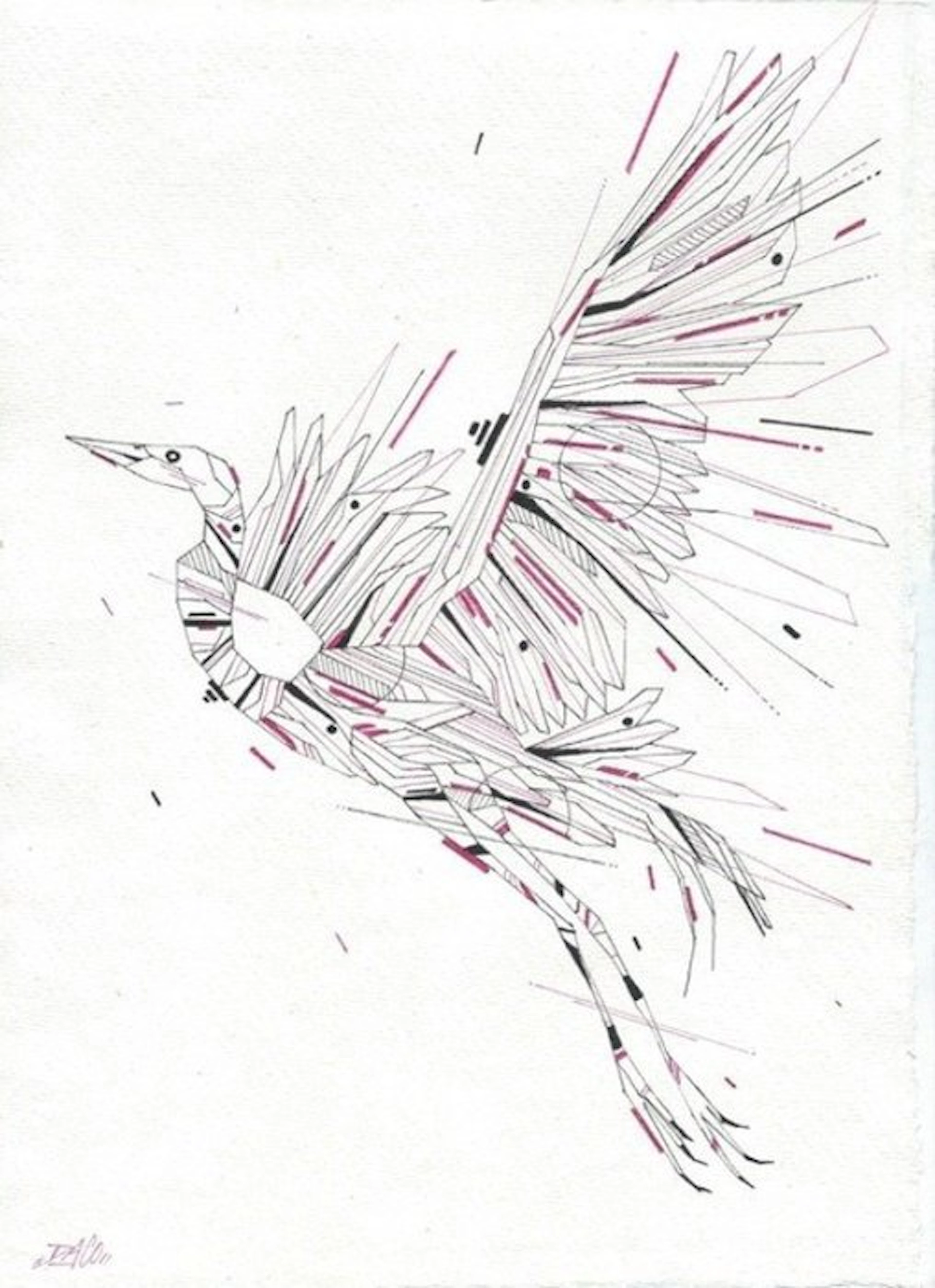 DACO (1980) - Graffaune Aigrette