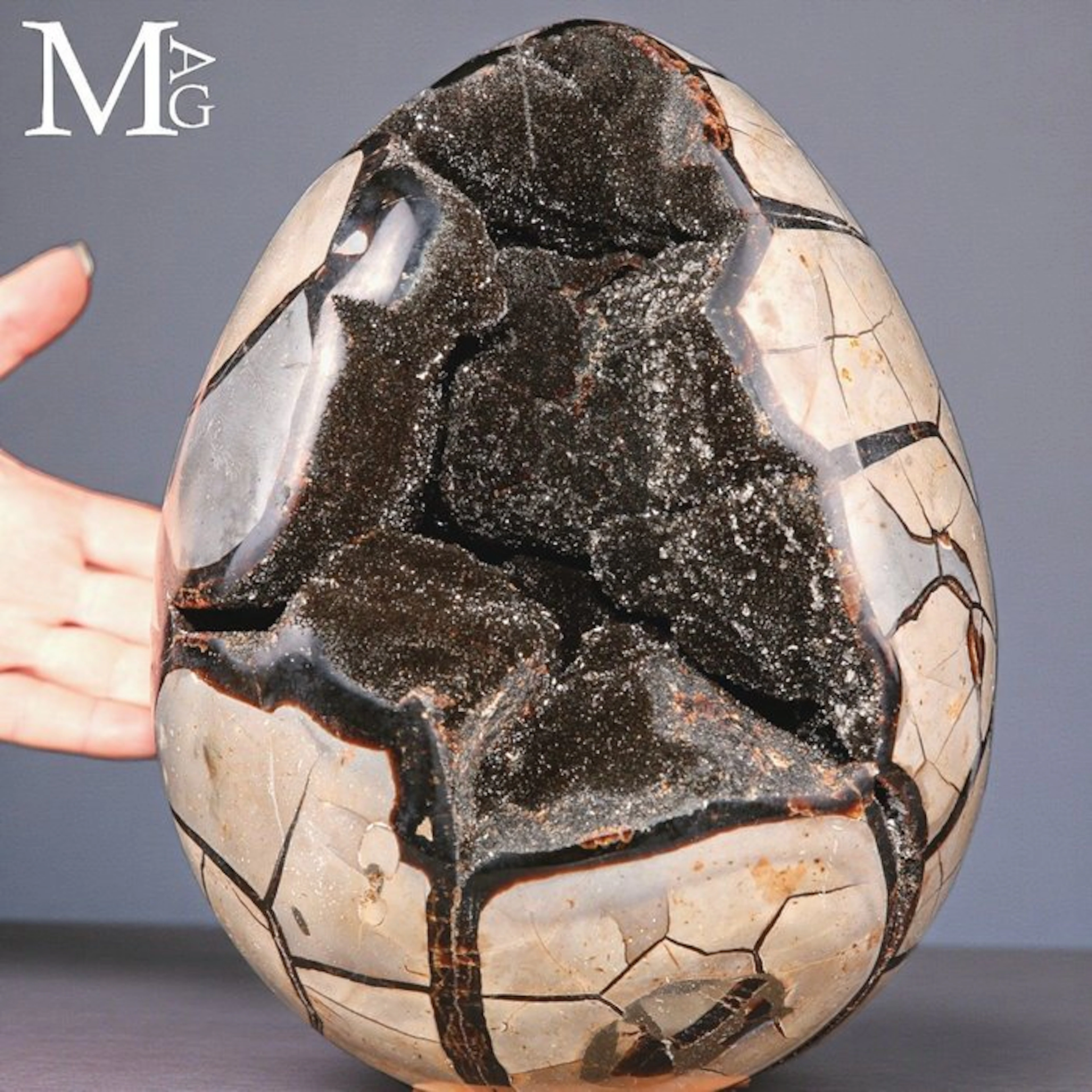 Carved Septarian Nodule- Earth Tones Large Septarian...