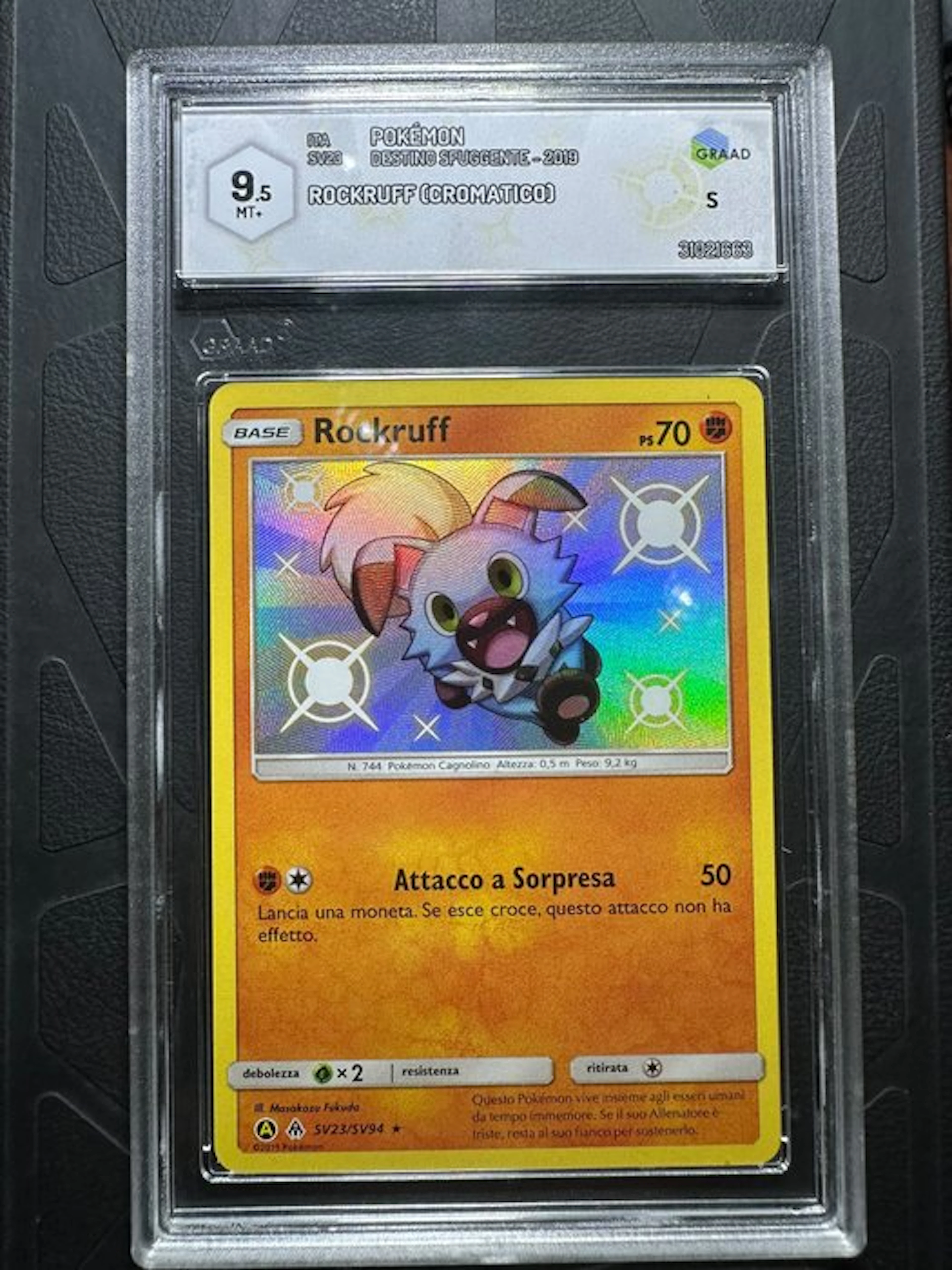 Pokémon - 1 Graded card - Rockruff SV23/SV94 Foil - Graad 9.5 - Sword & Shield