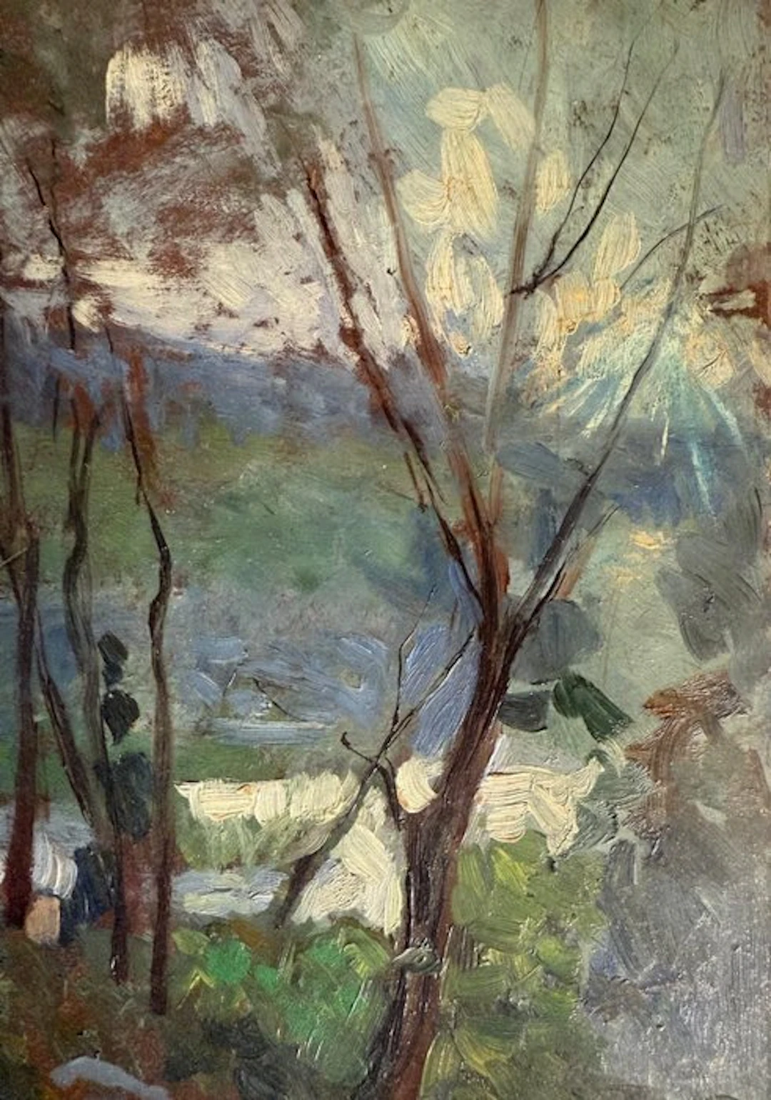 Matteo Olivero (1870-1932), Attrib. - Natura