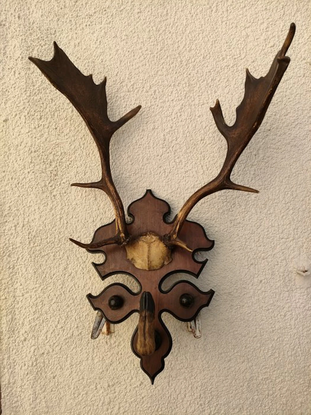 Hunting trophy