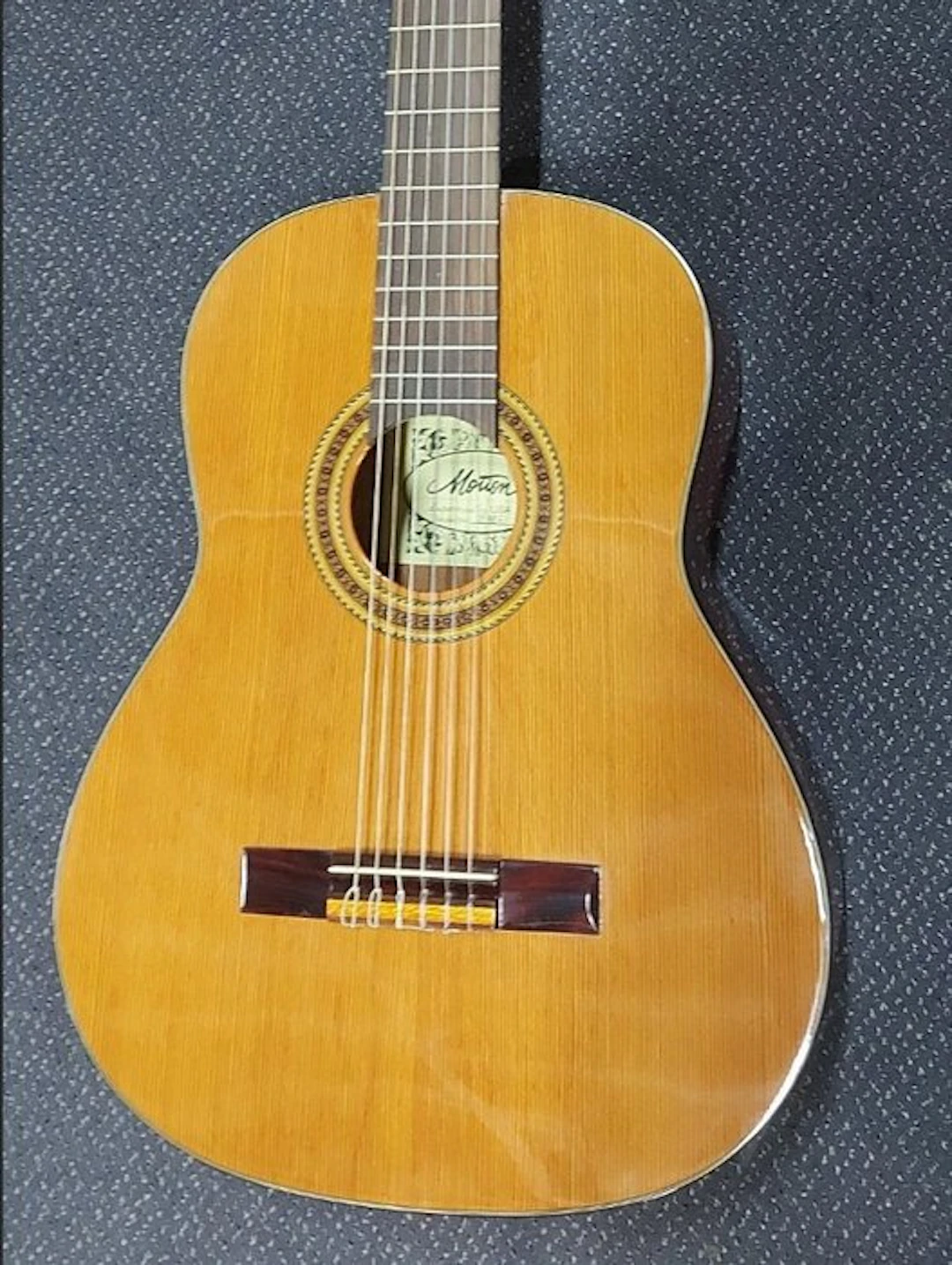 Motion - TC983 Solid Top - - Acoustic guitar
