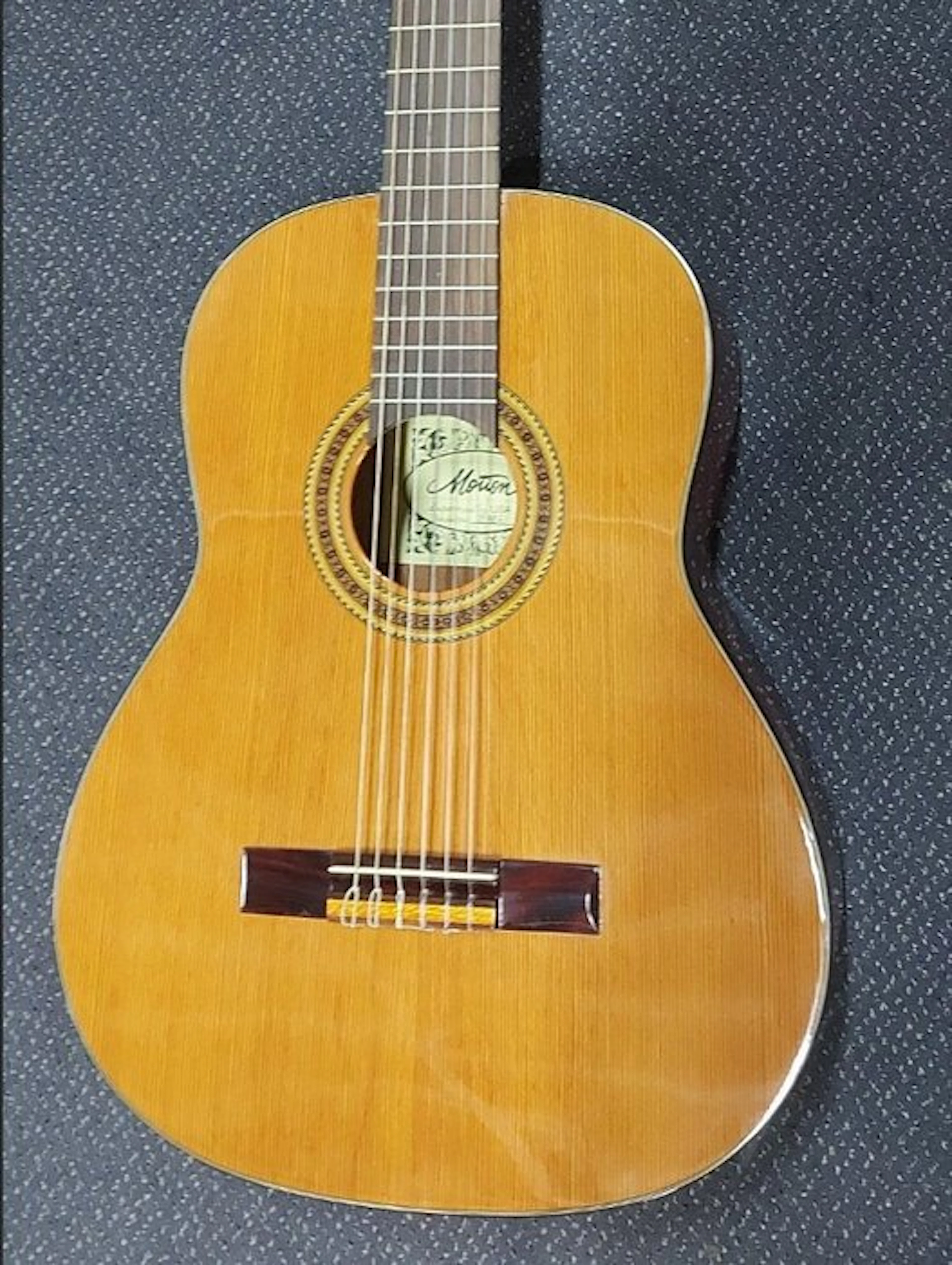 Motion - TC983 Solid Top - - Acoustic guitar