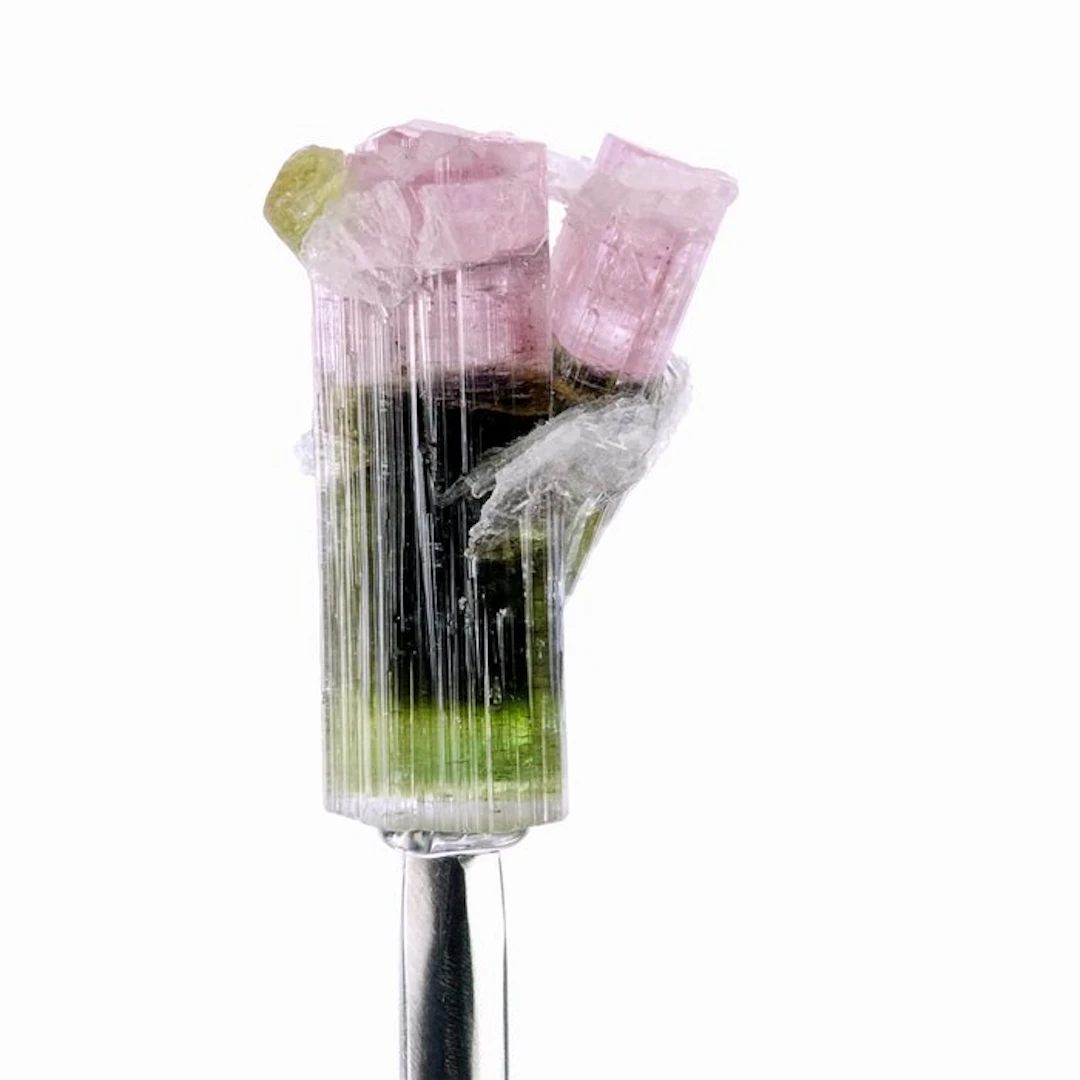 Tourmaline - Stak Nala