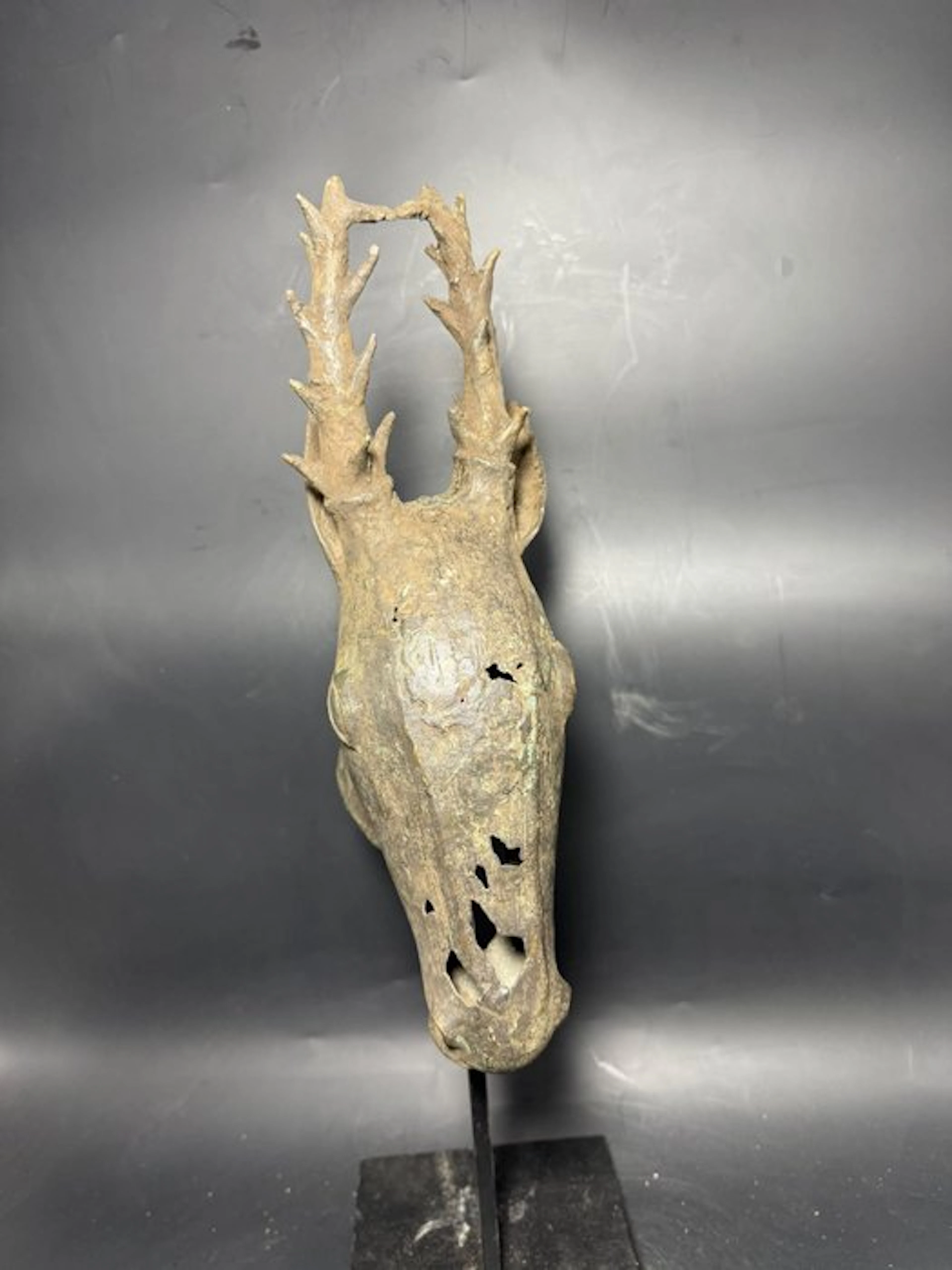 Big deer head - Yoruba - Nigeria (No reserve price)