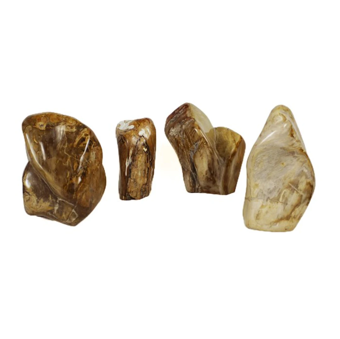 Polished Petrified wood freeform - Fossilised wood...