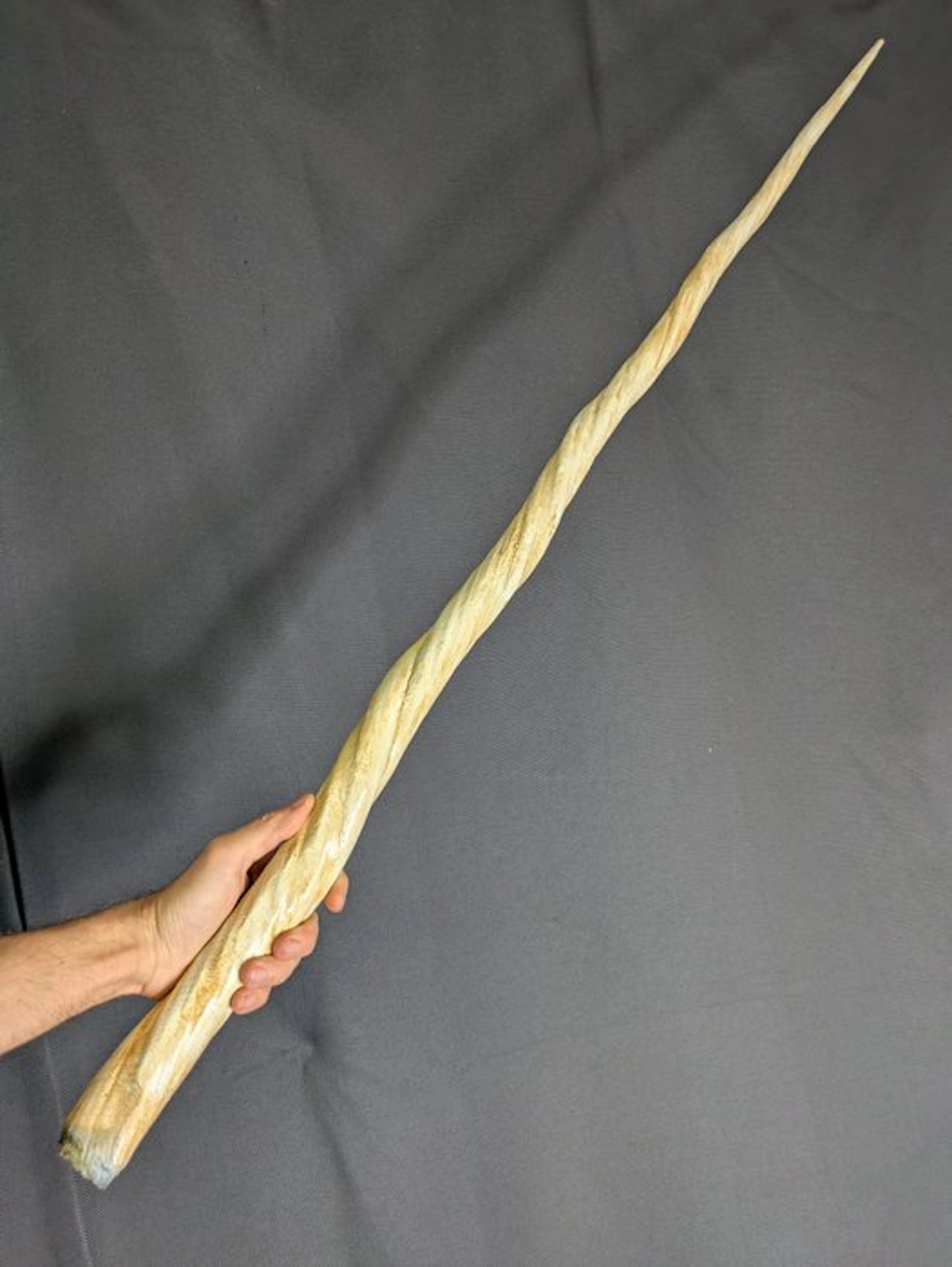 Narwhal Tooth - REPLICA-Monodon monoceros - Museum Grade...