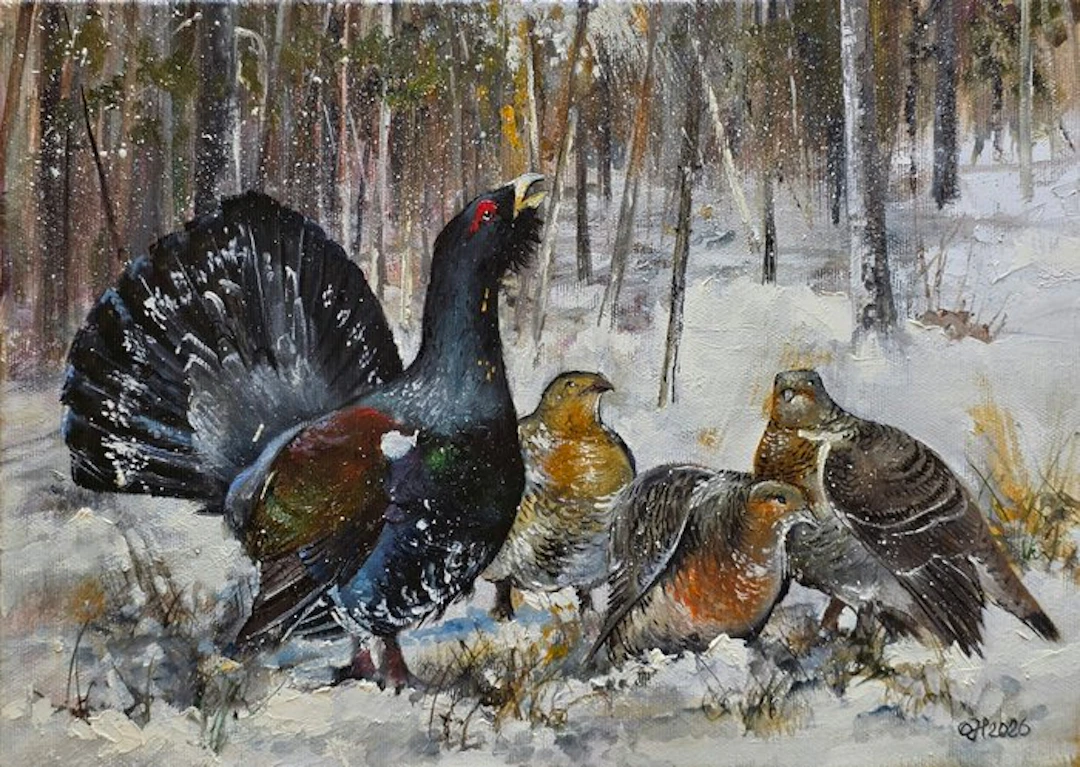 Alexander Nakonechnyi (XX-XXI) - Galli cedrone in un giorno d'inverno