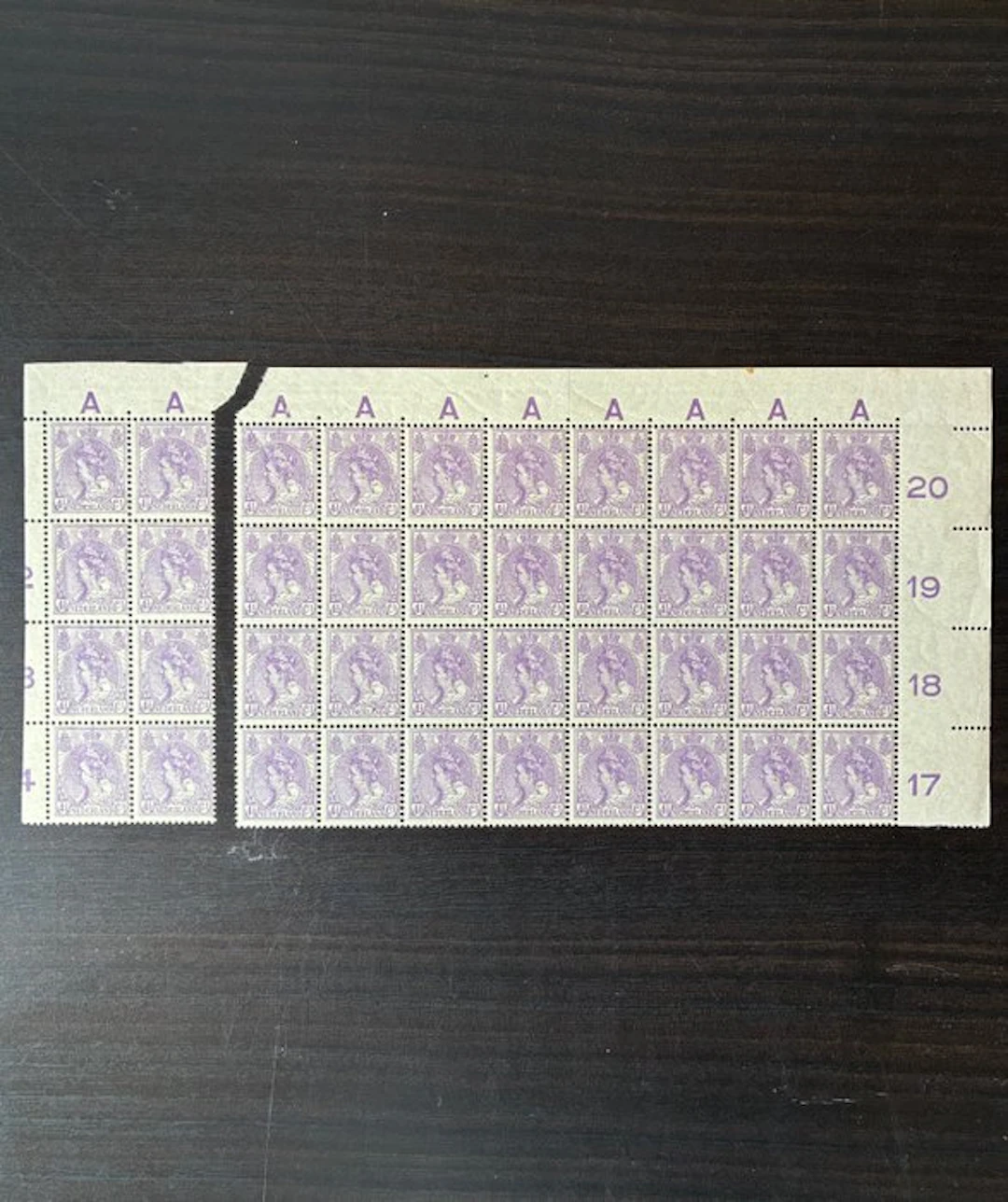 Netherlands 1919 - Queen Wilhelmina in field divisions...