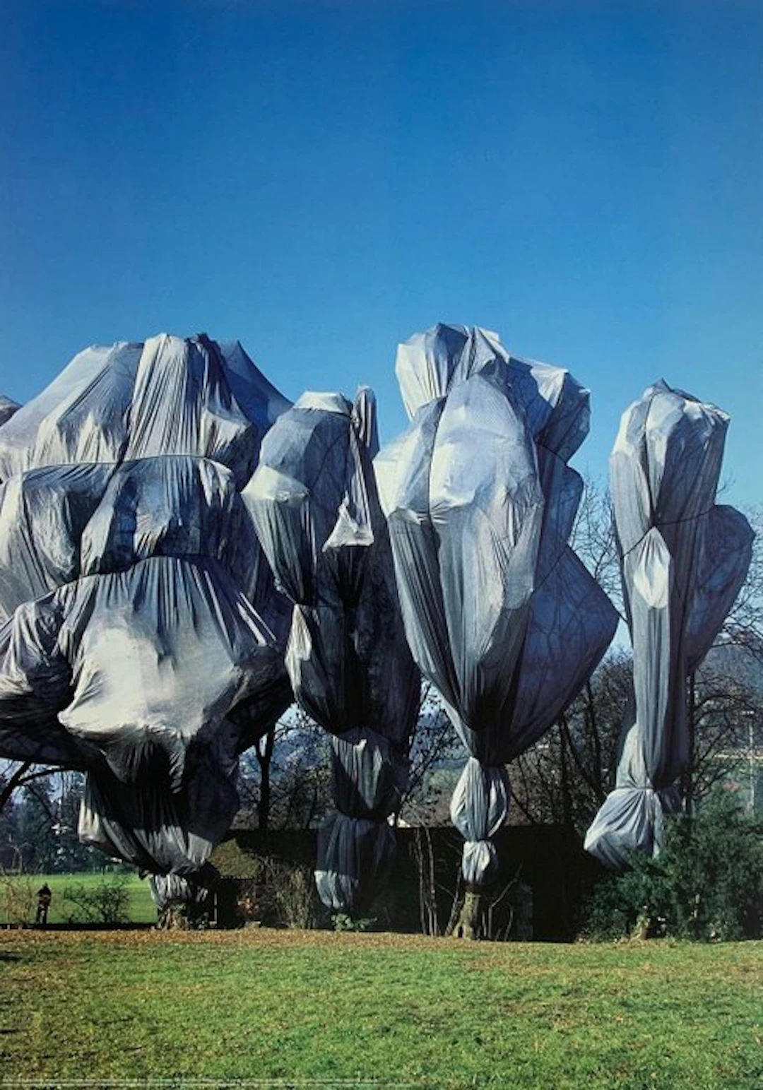 Christo (1935-2020) - Wrapped Trees Nr. 12 (Riehen) - Artprint - 70 x 50 cm