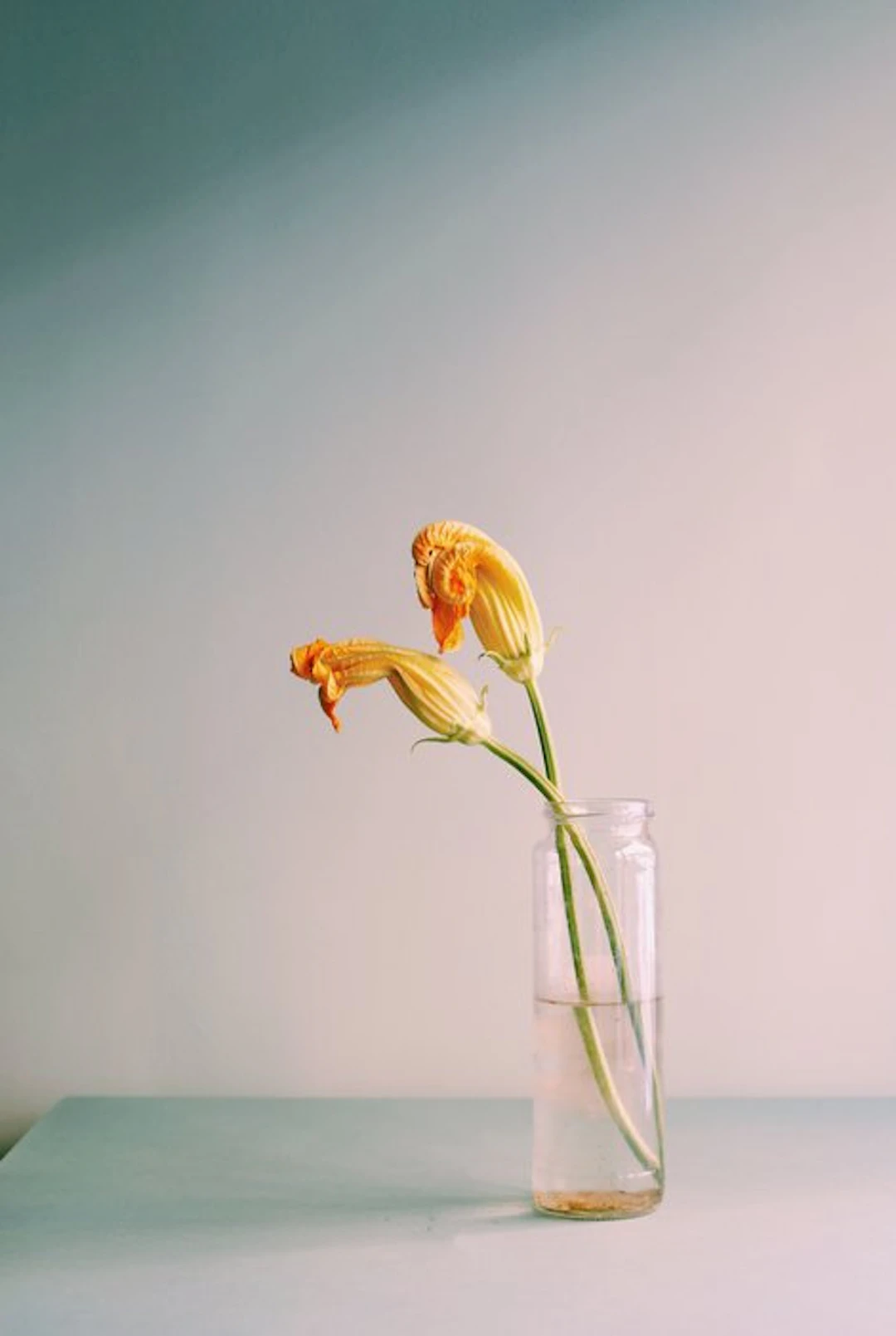 Diletta Nicosia - Courgette Flowers