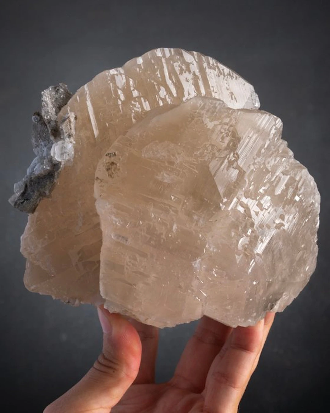 MUSEUM sized sicoidal Calcite Specimen - Height: 14.4 cm...