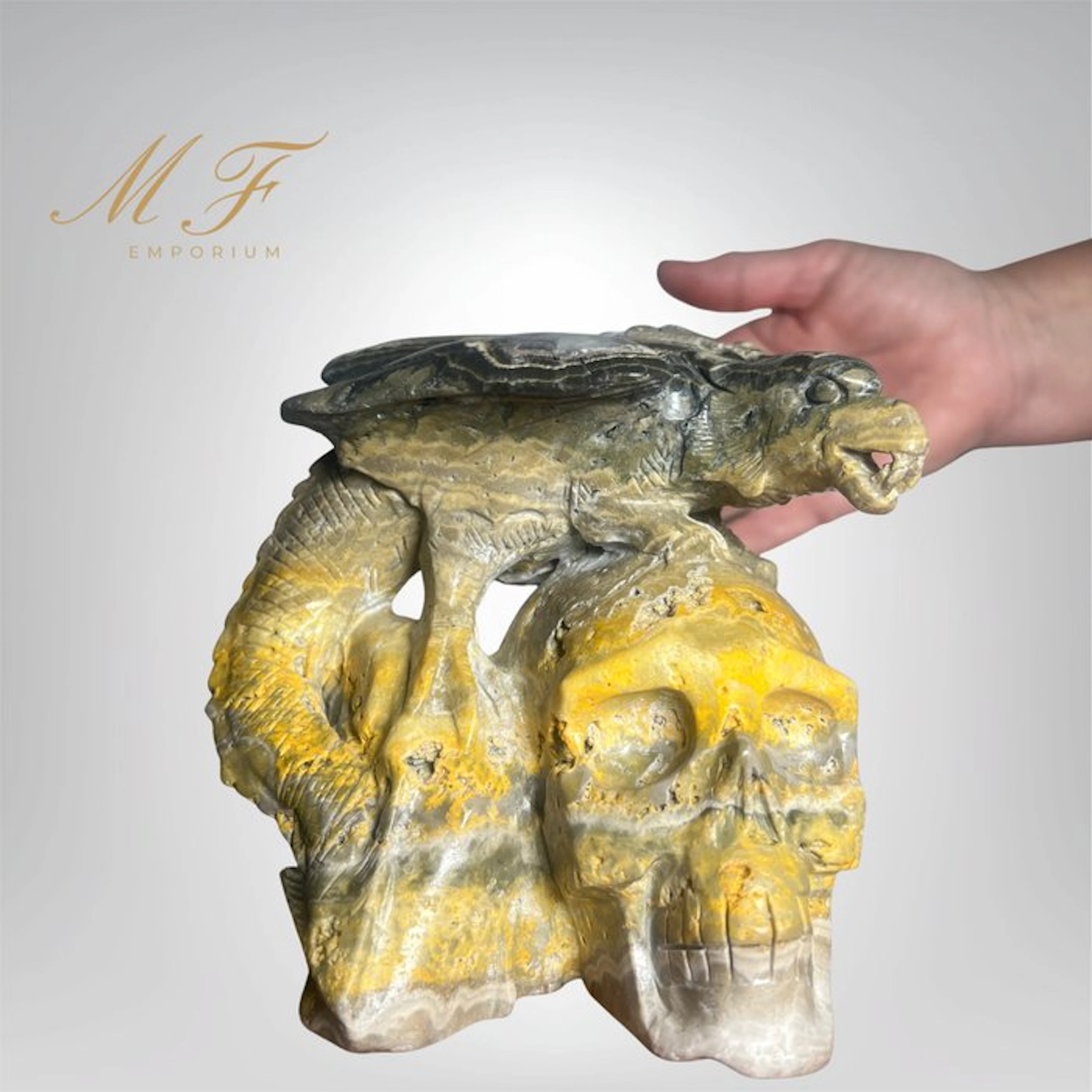 Very rare - skull and dragon in Bumble Jasper XXL Carving...