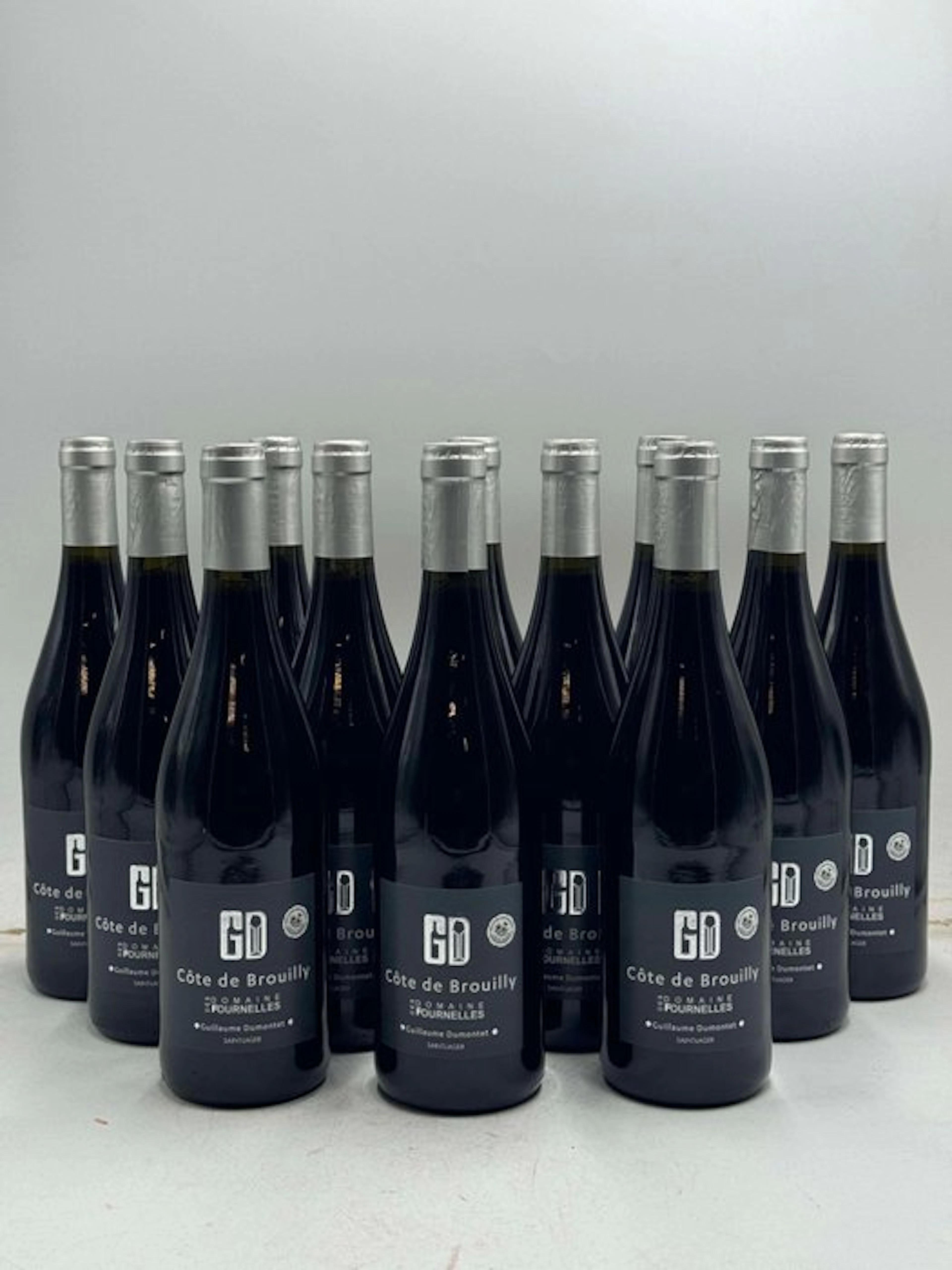 2023 Domaine des Fournelles - Côte de Brouilly - Brouilly - 12 Bottles (0.75L)