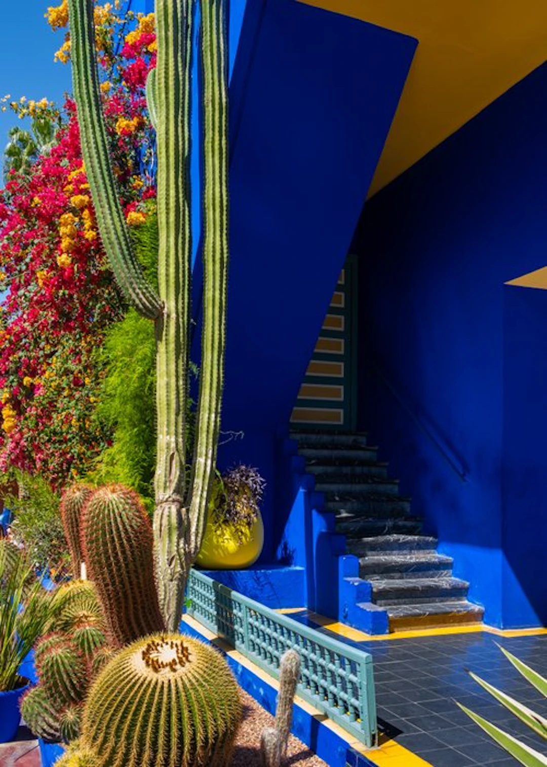 Dominik Valvo - Jardin Majorelle #5 (Marrakech 2024) XL