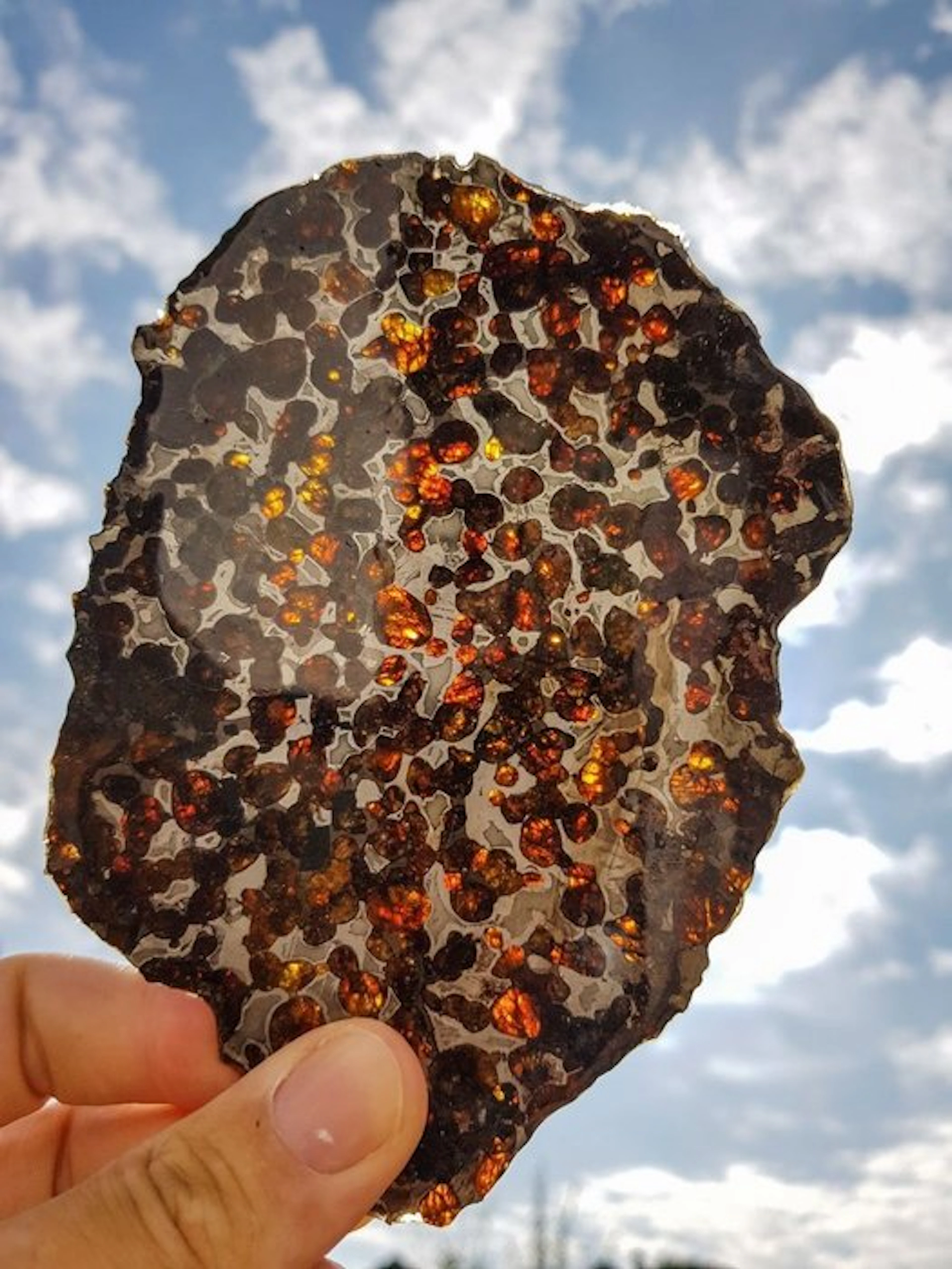 Pallasite XXL Sericho pallasite - Height: 15 cm - Width: 10.7 cm - 133.6 g