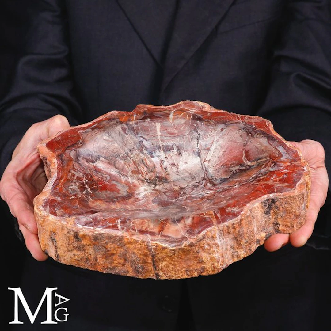 Handcrafted Petrified Wood Catchall - A Timeless Fusion...