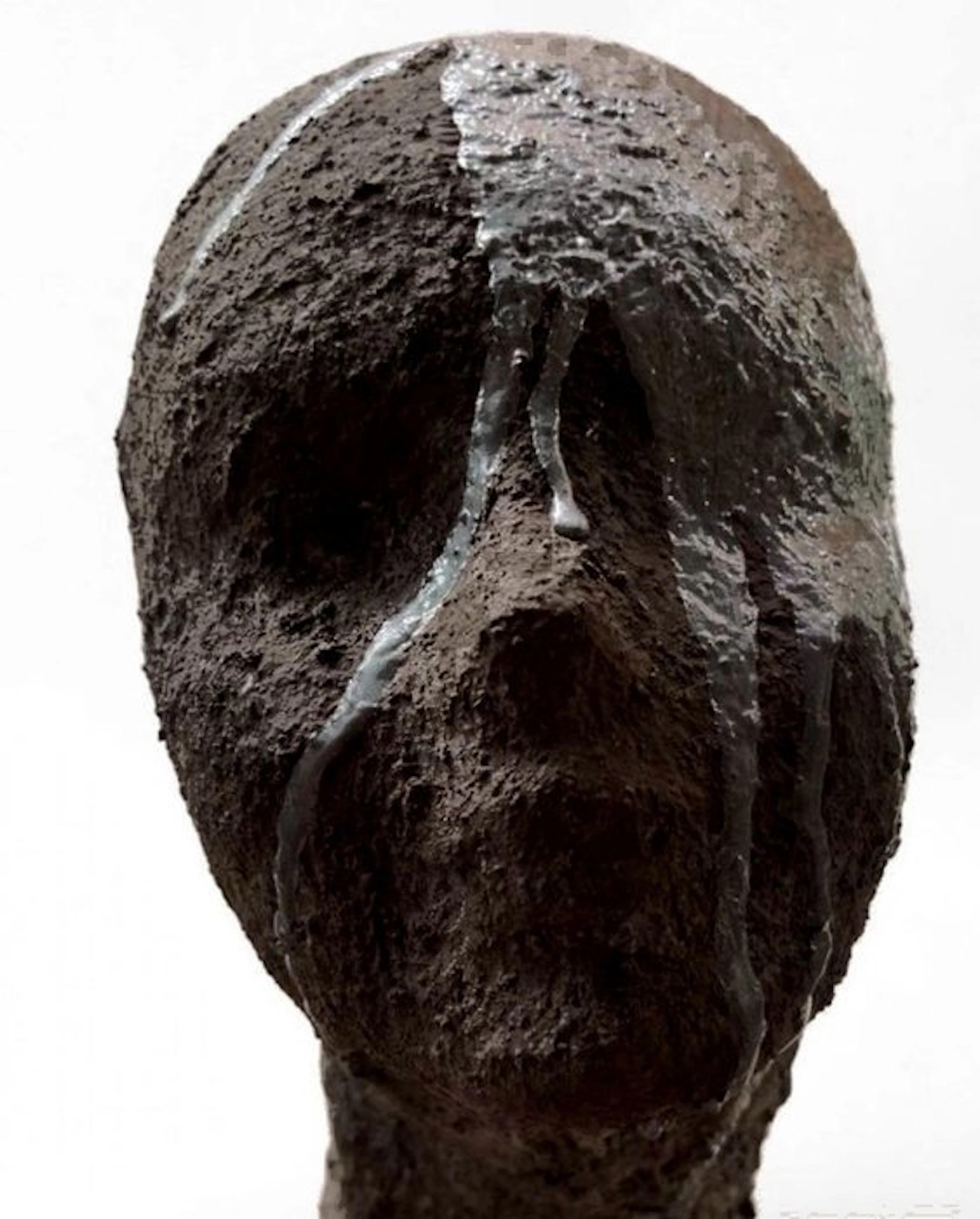 SUSAN WIERGO - SUSAN WIERGO - Sculpture, CATARSIS - 490 cm - Papier-mache