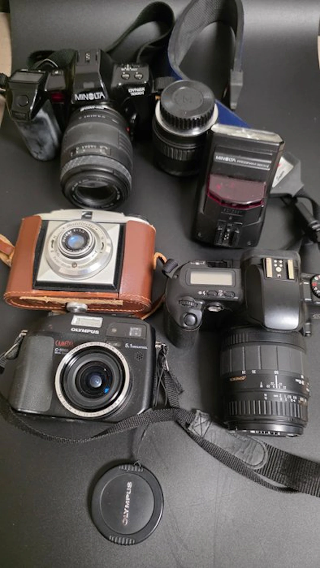 Minolta, Canon