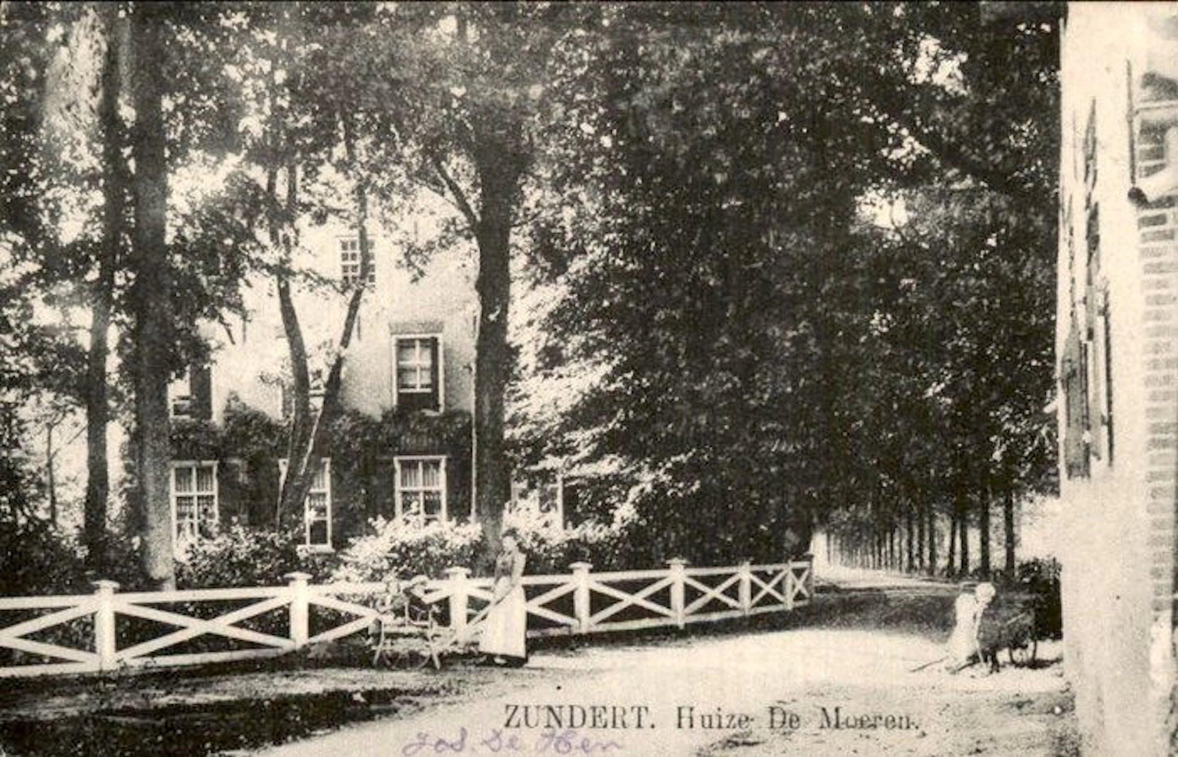 Netherlands - Zundert - Postcard (81) - 1900-1999