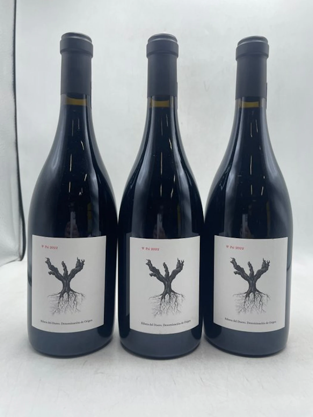 2022 Dominio de Pingus, Psi - Ribera del Duero - 3 Bottles (0.75L)
