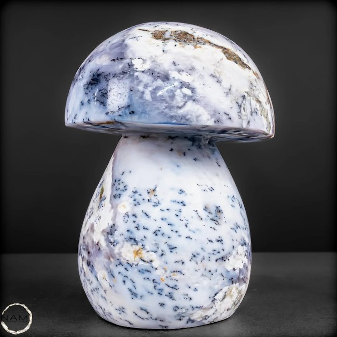 Stunning purple opal mushroom from Madagascar – An...