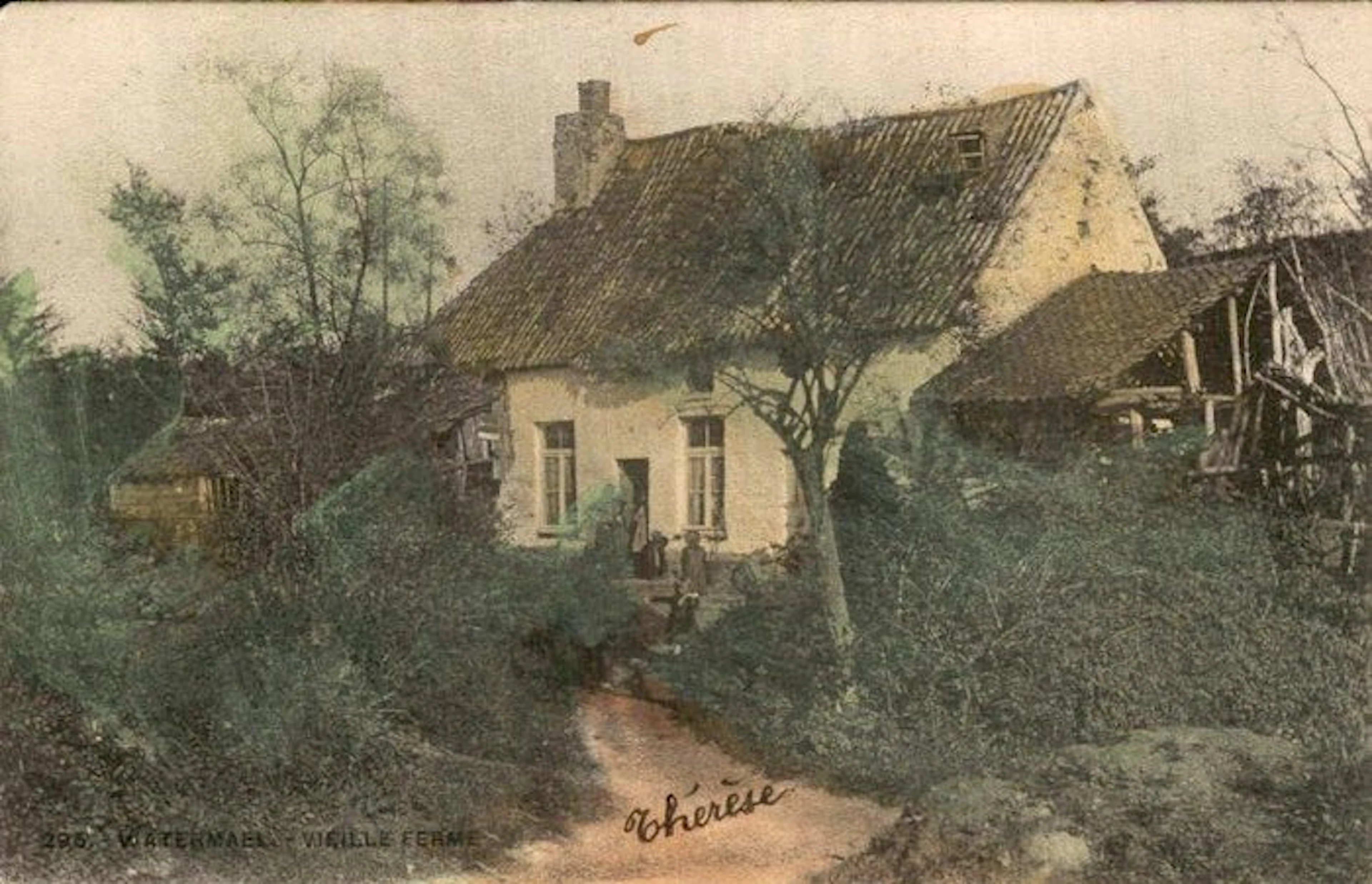 Belgium - Brussels-Capital Region - Postcard (144) - 1900-1999