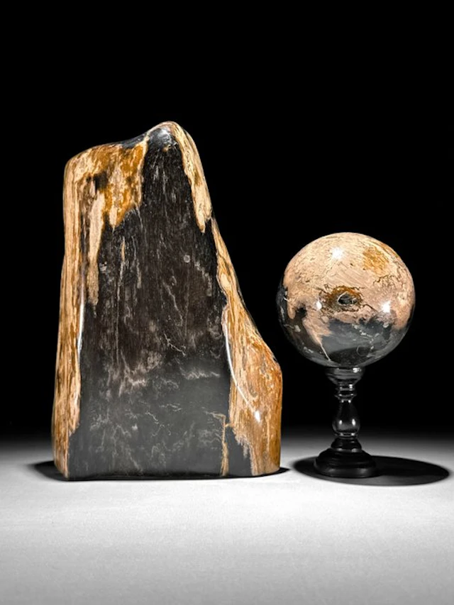 C - Wonderful Pair of Petrified Wood Freeform and Sphere...
