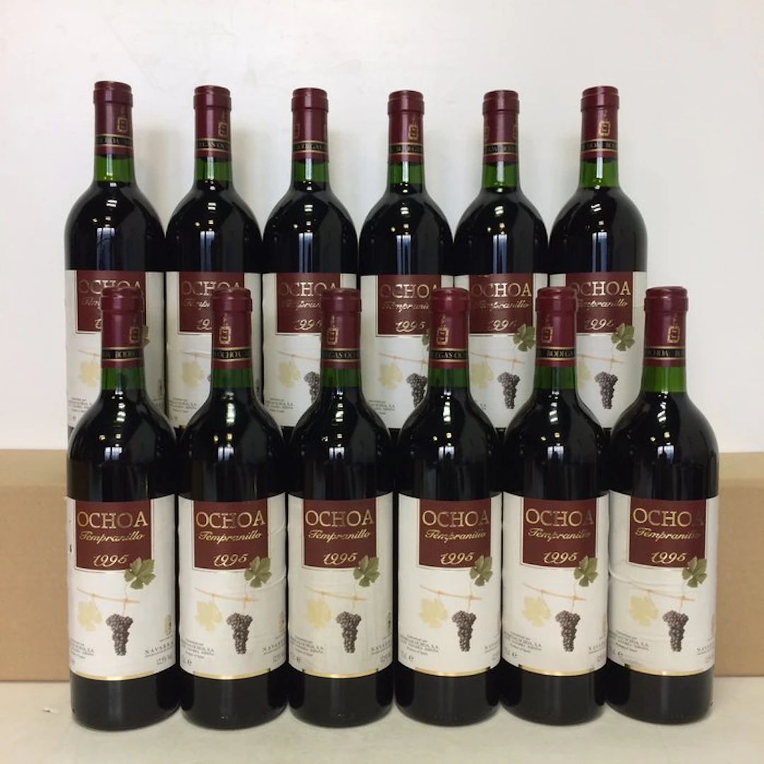 1995 Bodegas Ochoa - Navarra Crianza - 12 Bottles (0.75L)