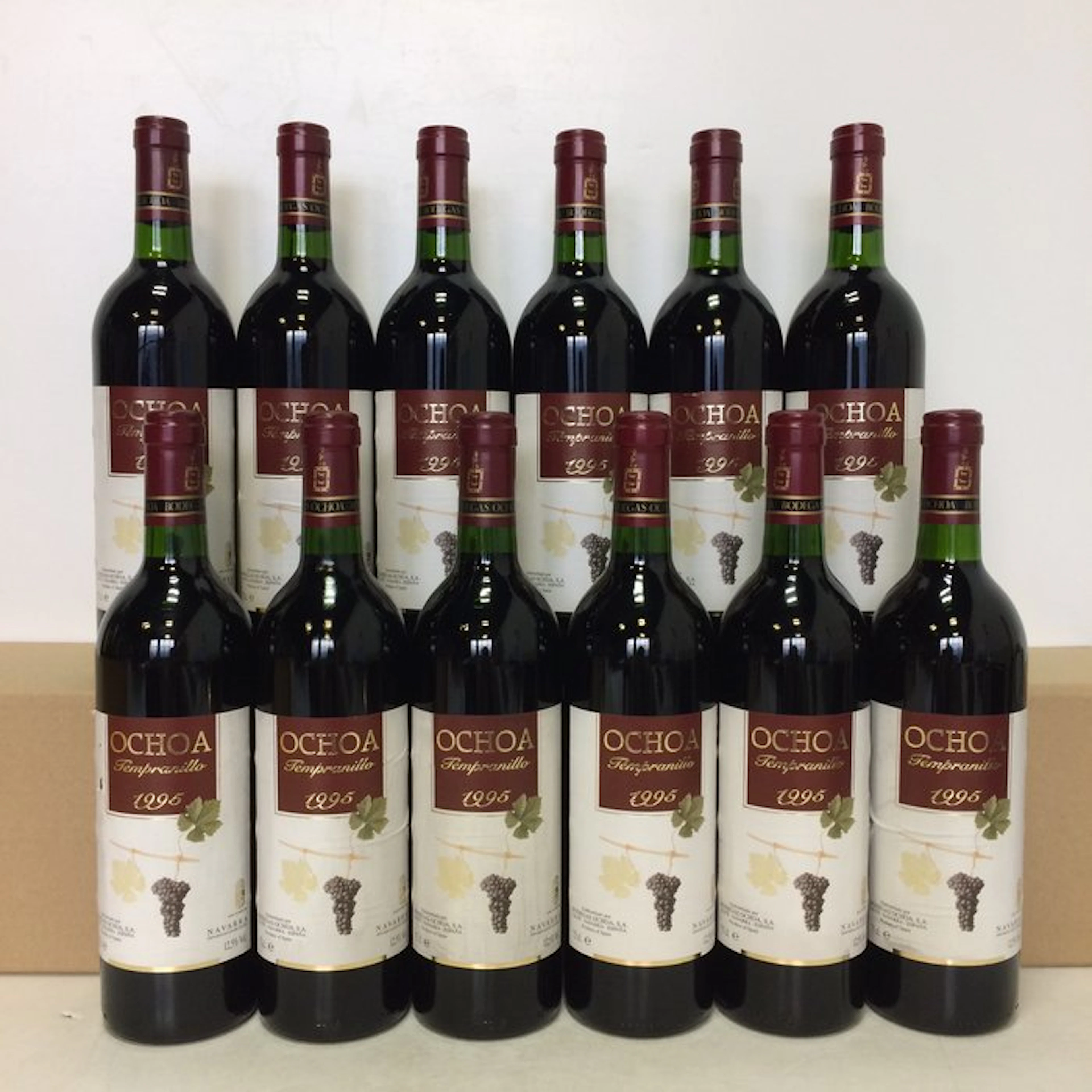1995 Bodegas Ochoa - Navarra Crianza - 12 Bottles (0.75L)