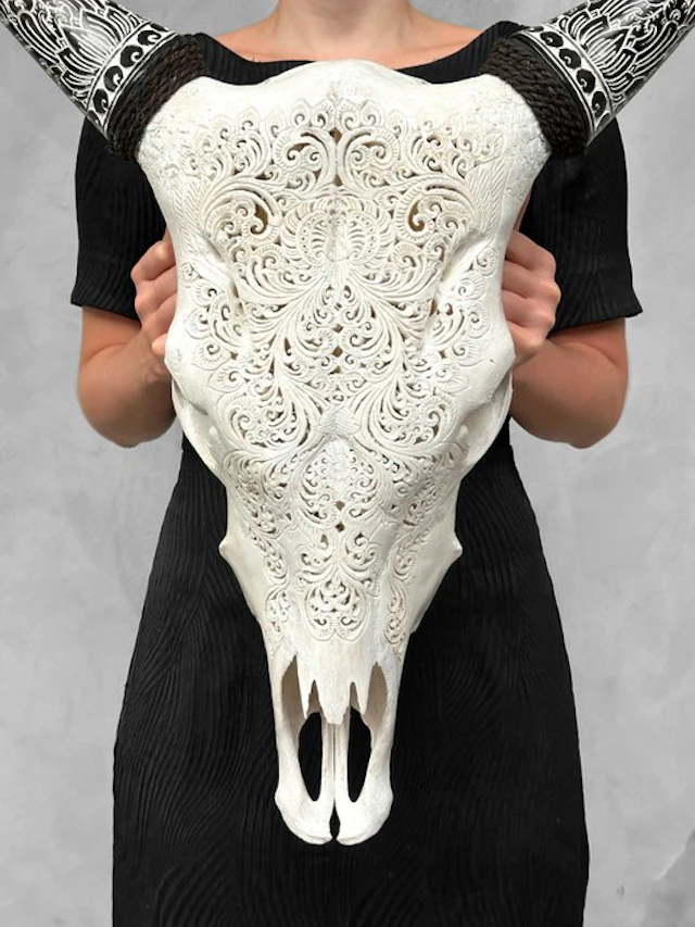 NO RESERVE PRICE - Authentic White Cow Skull with...