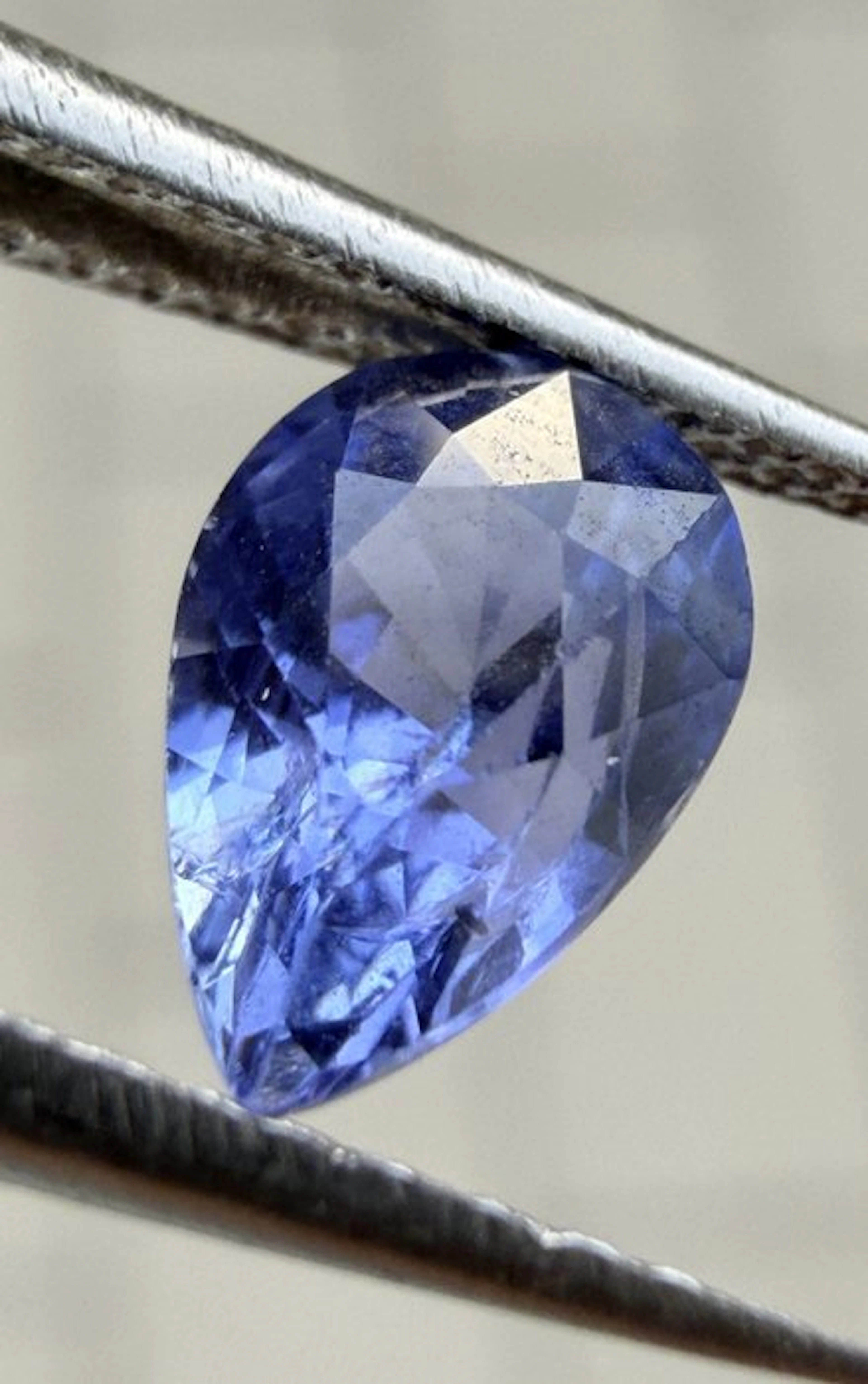 No reserve price Blue