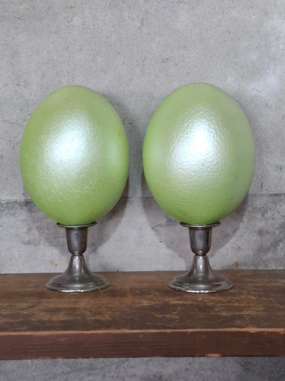 Ostrich Egg - truthio camelus - 21.5 cm - 11.5 cm - 11.5 cm - (2)