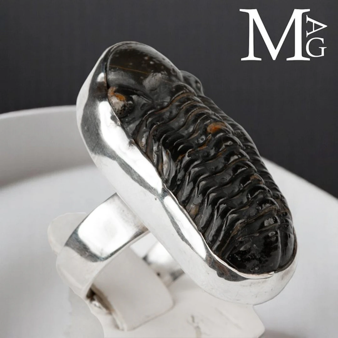 Fossil Trilobite Phacopid Specimen Casting in Silver 925...