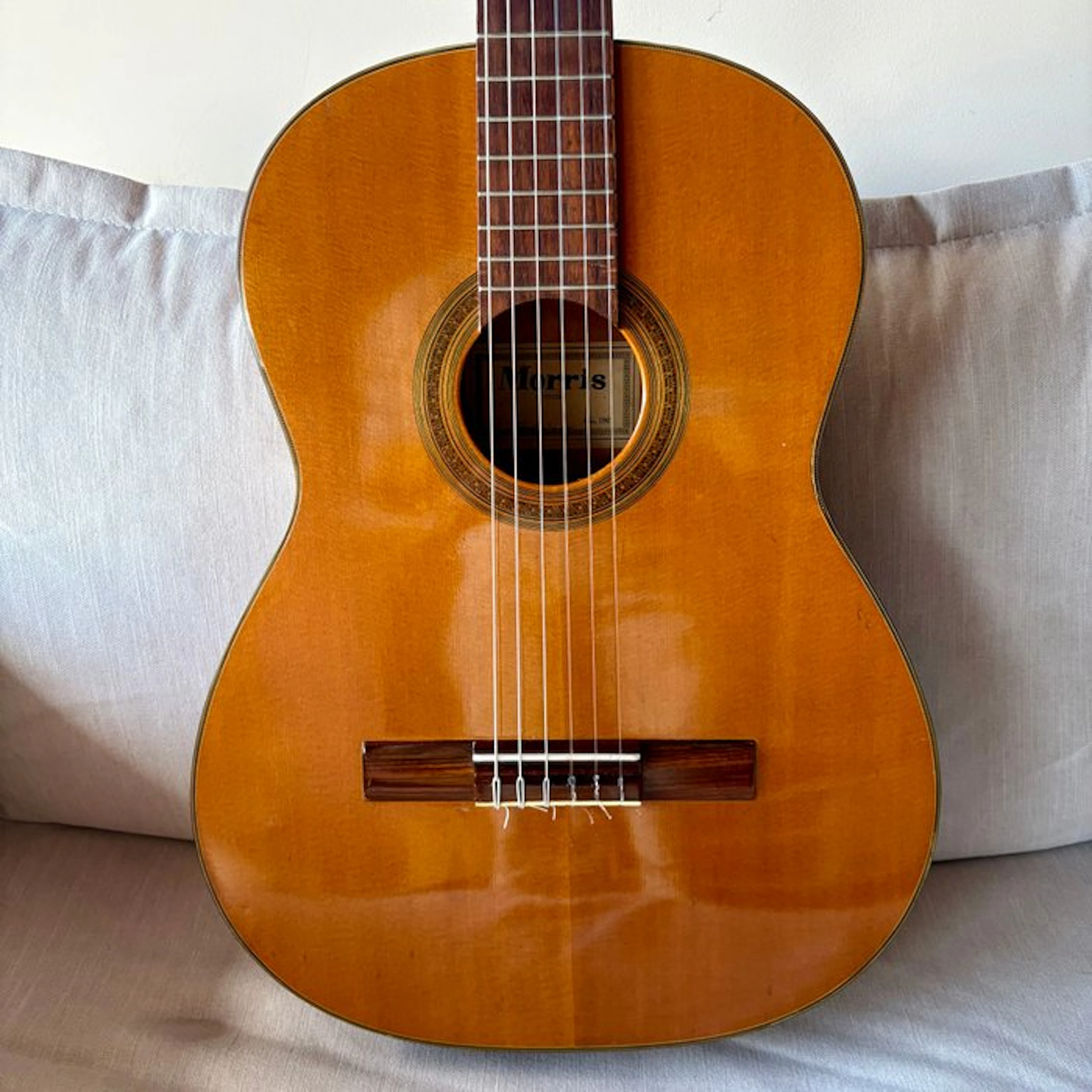 Morris - Luthier #80 - - Acoustic guitar - Japan - 1967