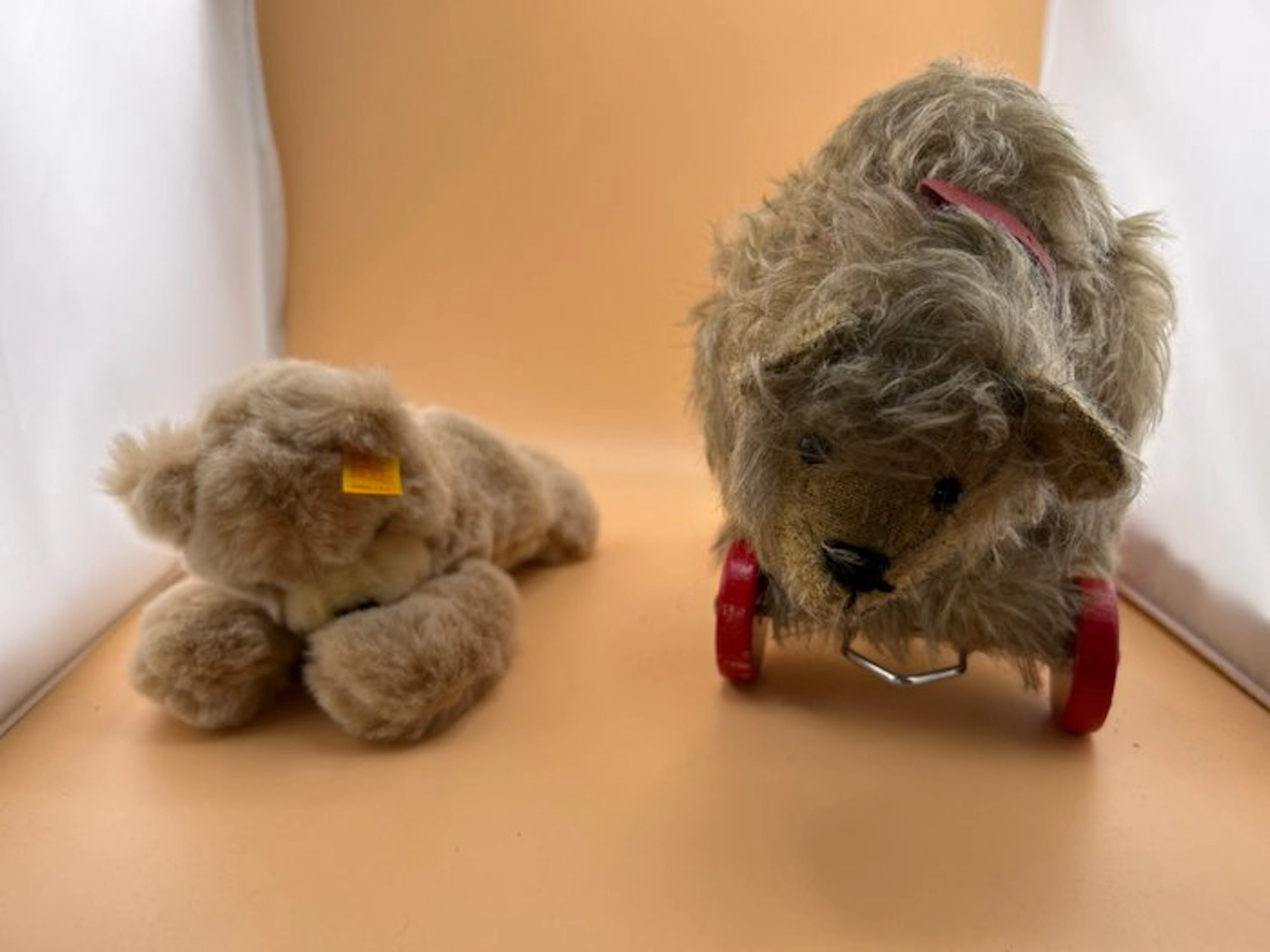 Steiff - Plush toy - 1950-1960