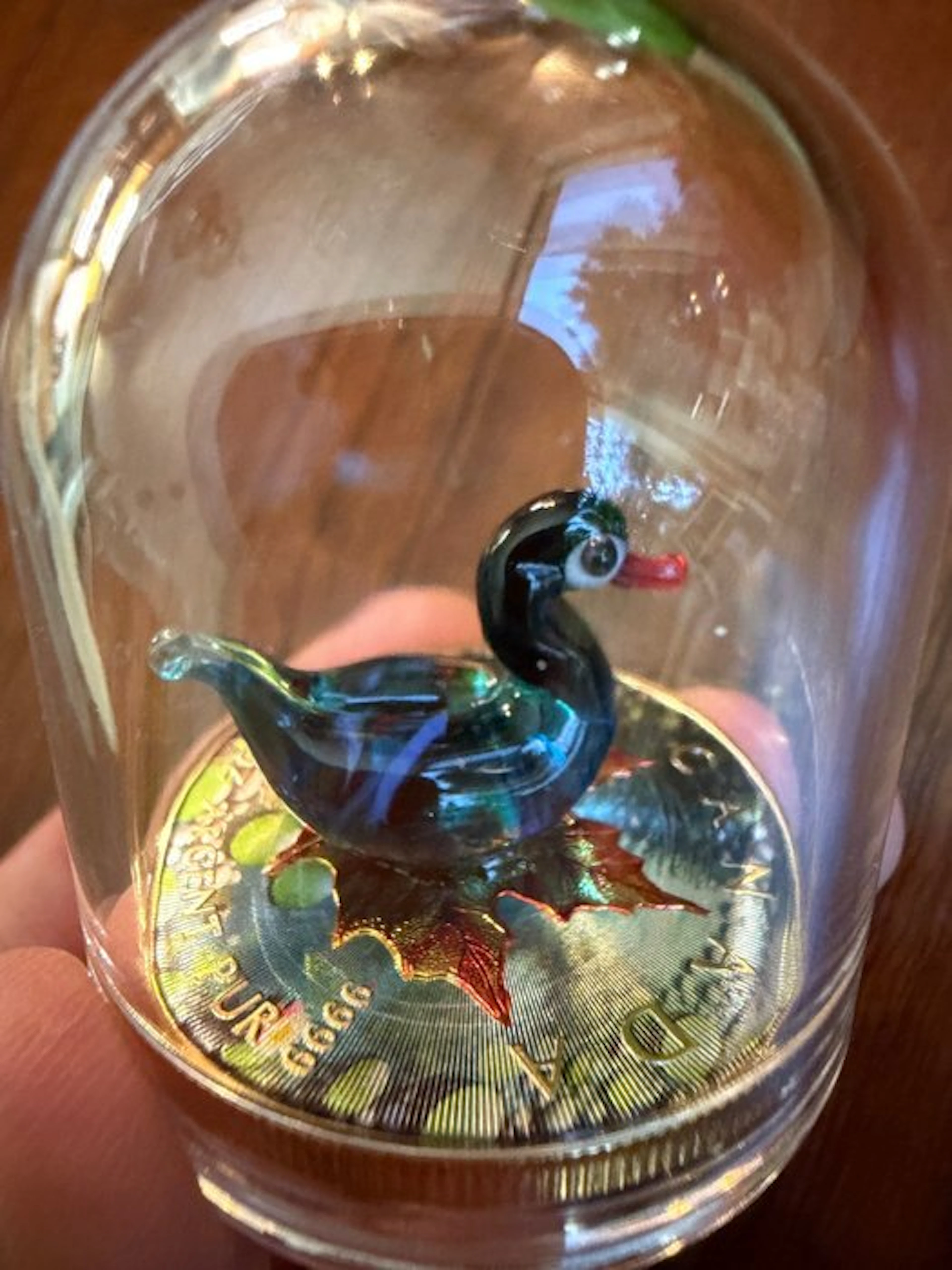 Canada. 5 Dollars 2022 Maple Leaf - Murano glass Series - Blackneck Duck