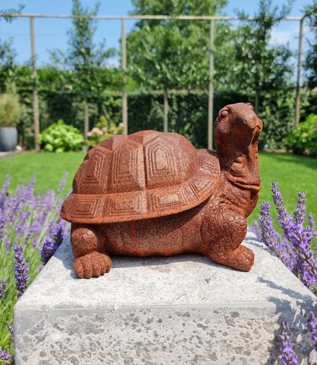 Figurine - Turtle - Iron