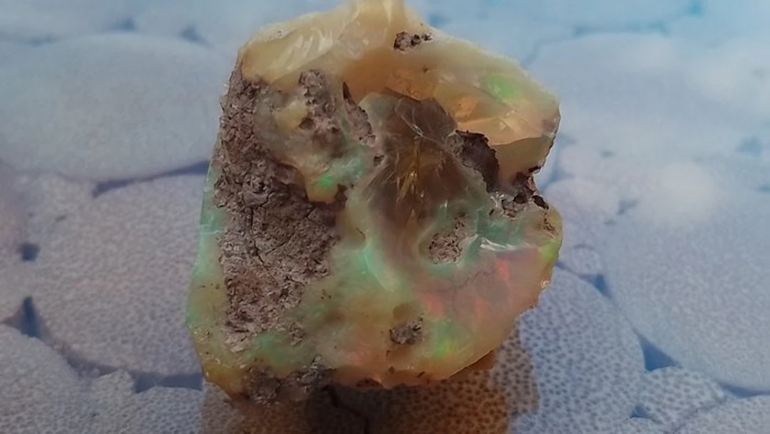 Opal Freeform - Height: 3.6 cm - Width: 2 cm- 17.71 g - (1)