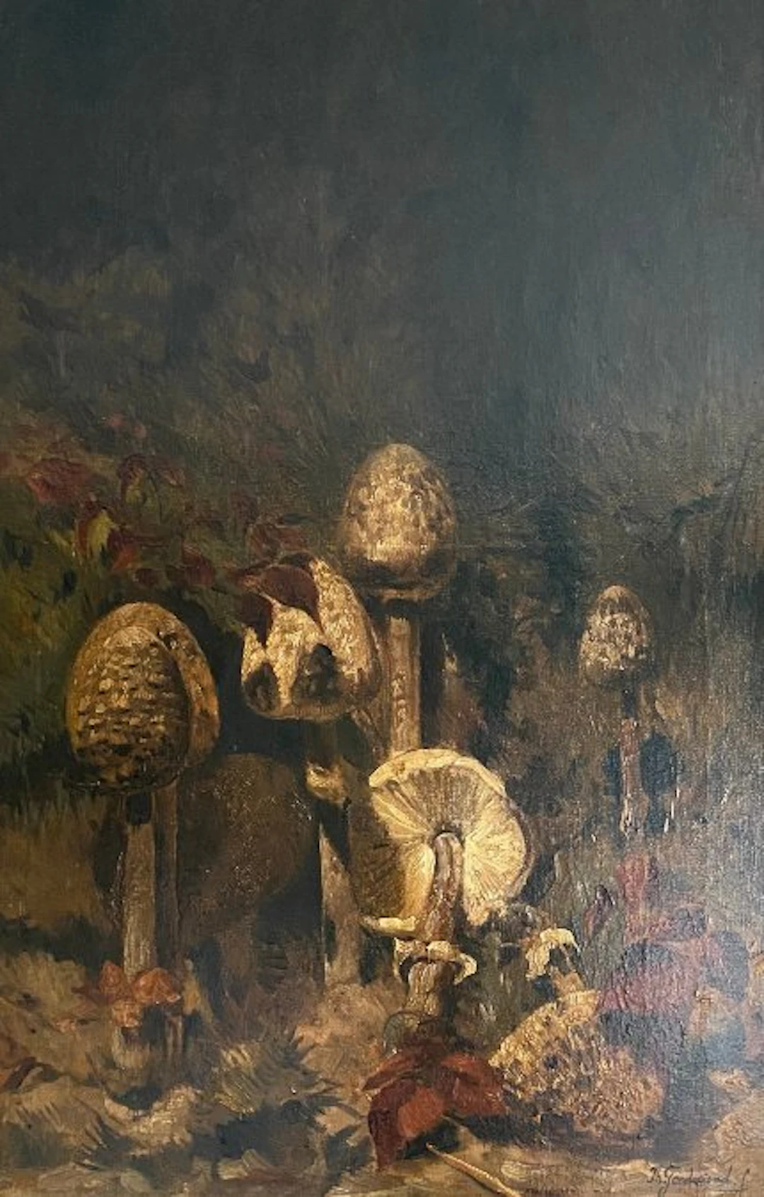Theo Goedvriend (1879-1969) - Paddenstoelen