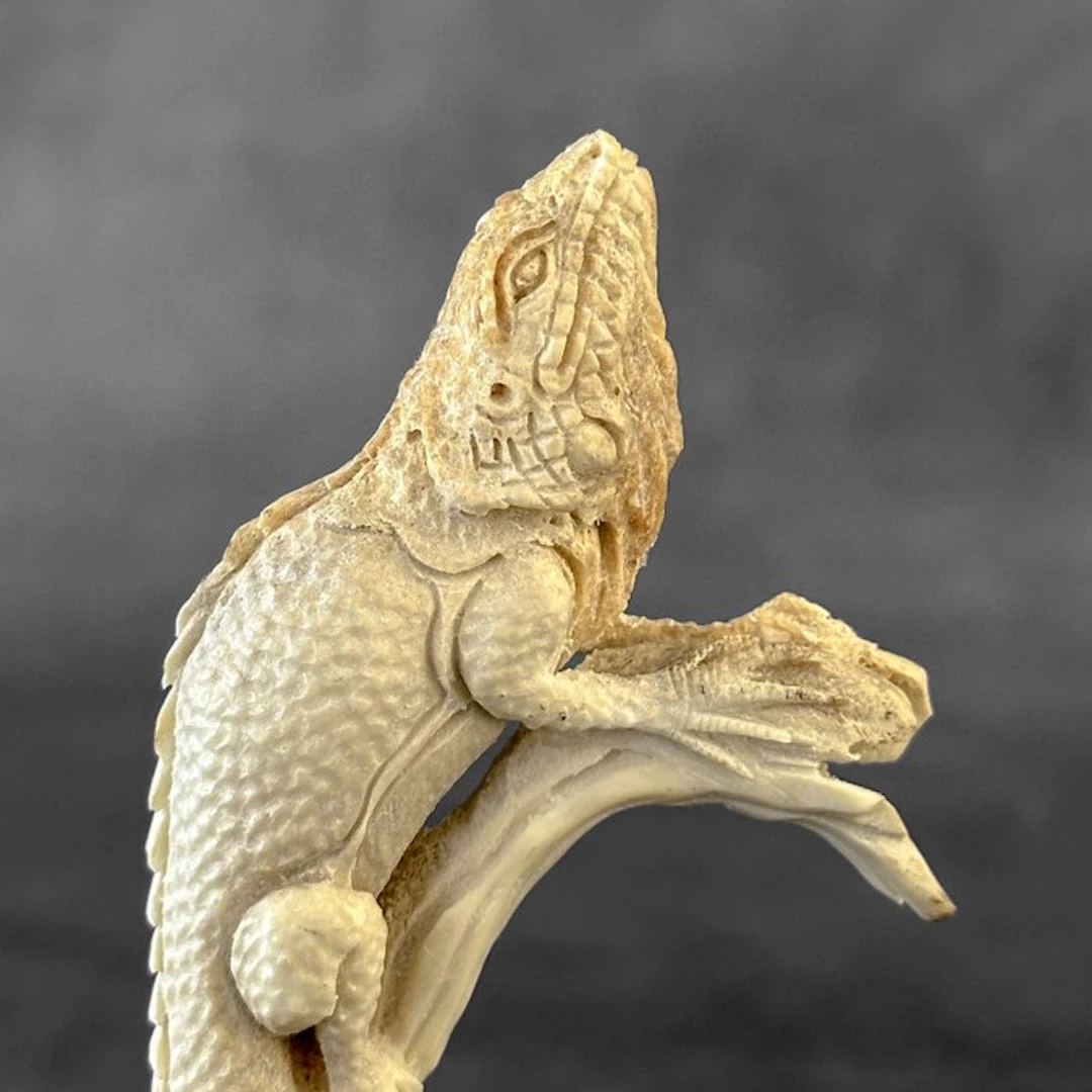 Carving, NO RESERVE PRICE - Stunning iguana carving from...