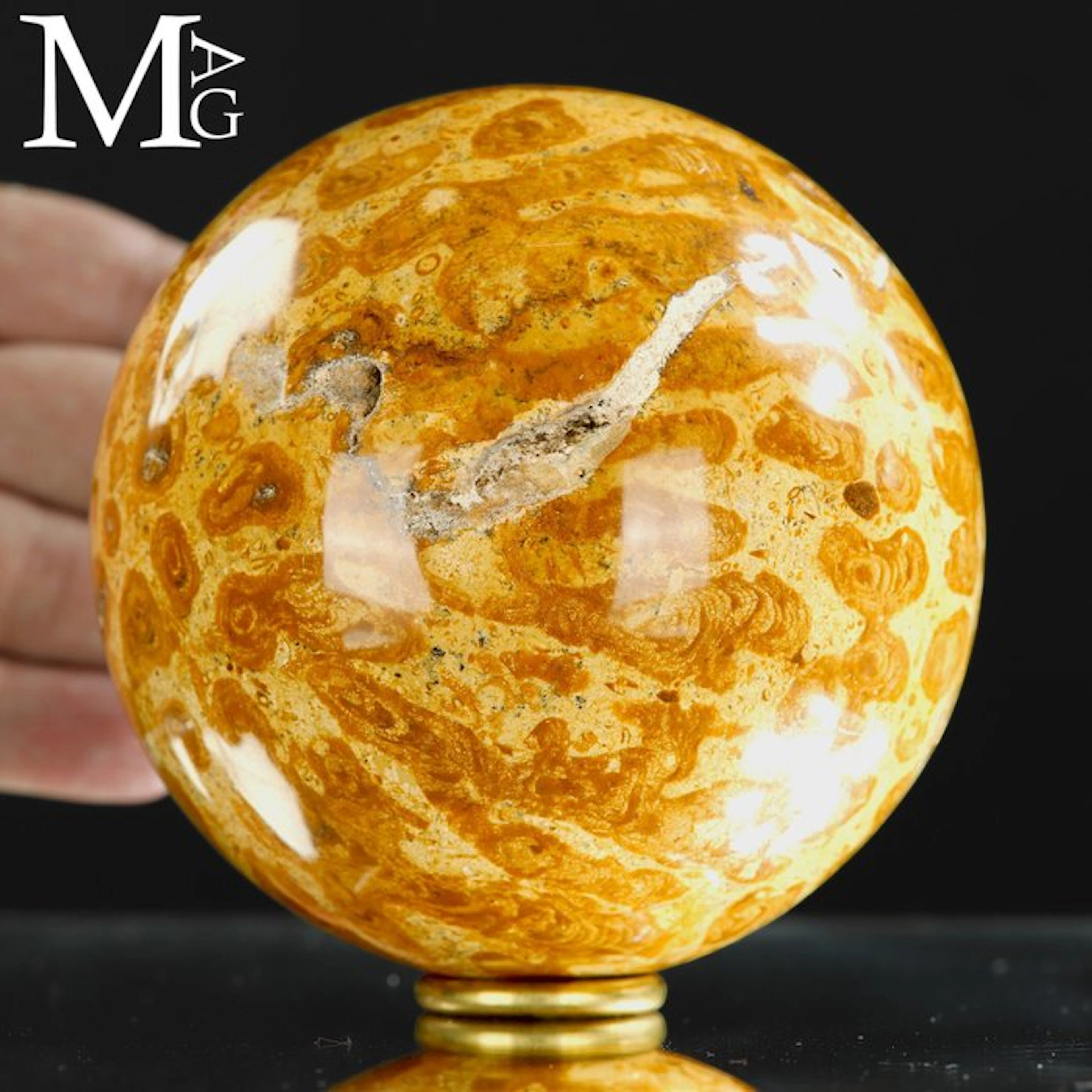 Fossil Coral Sphere - Fossil Sphere in Madreporic Coral –...