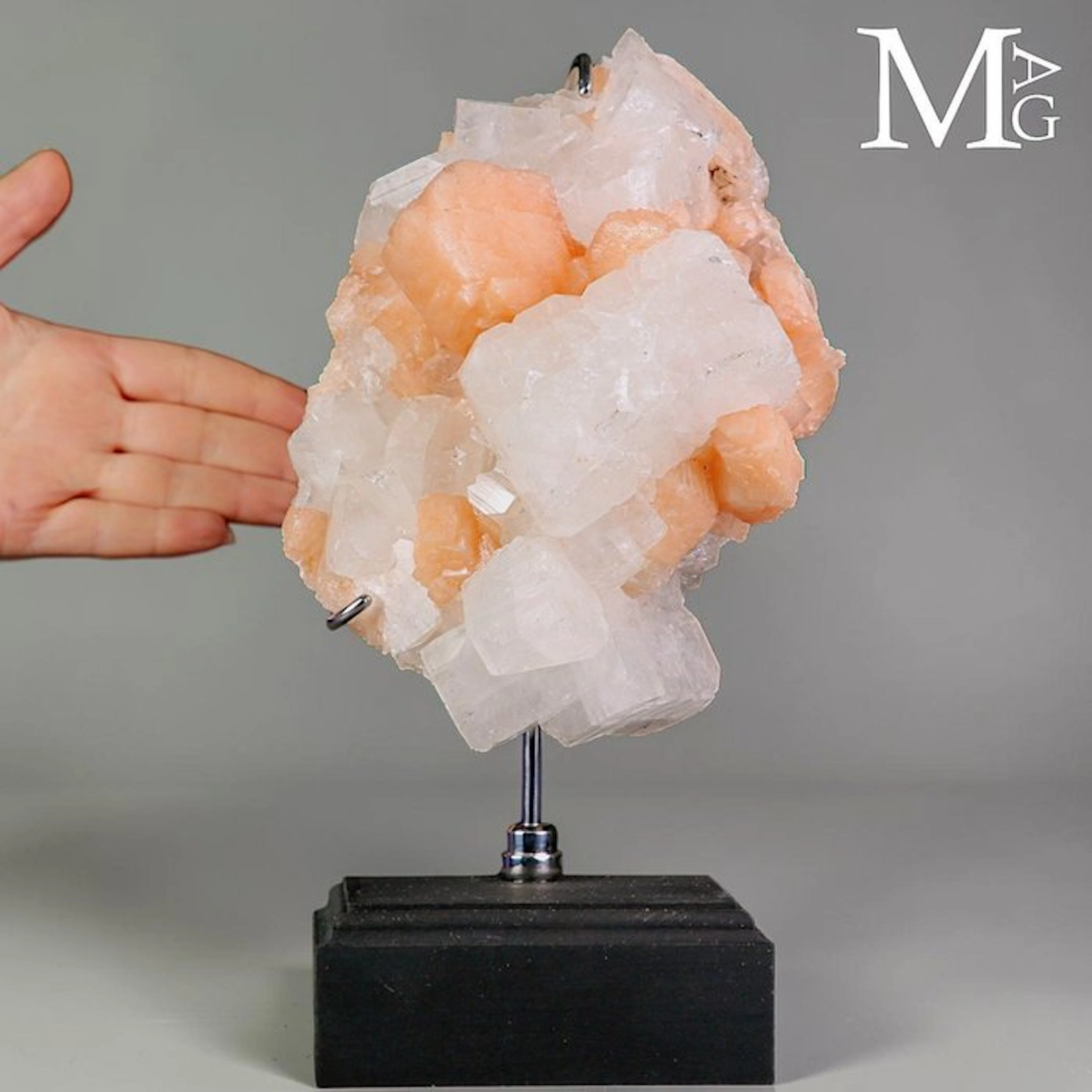Large Lustrous Apophyllite Crystals with Contrasting...