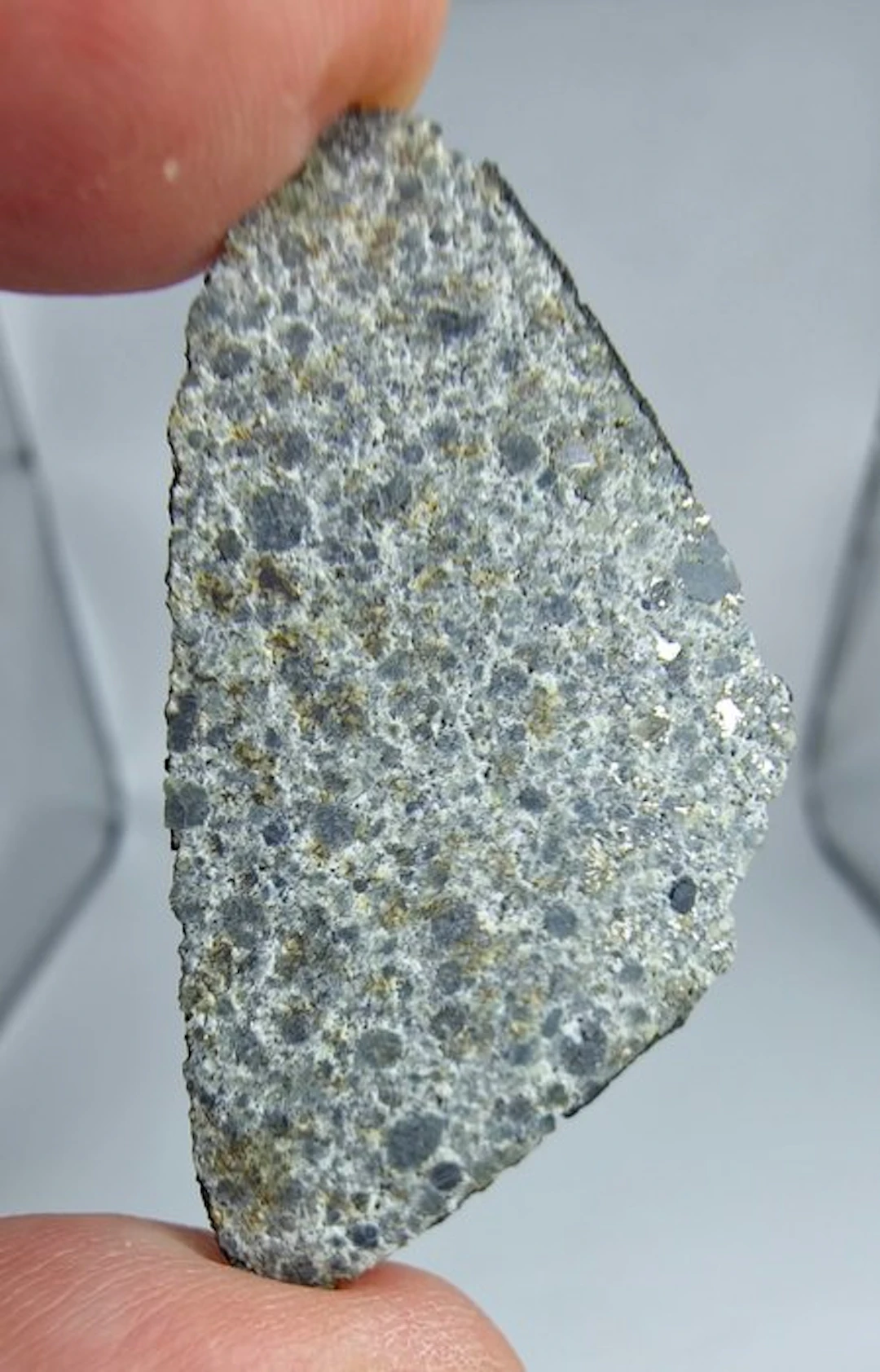Meteorite: El Menia L5