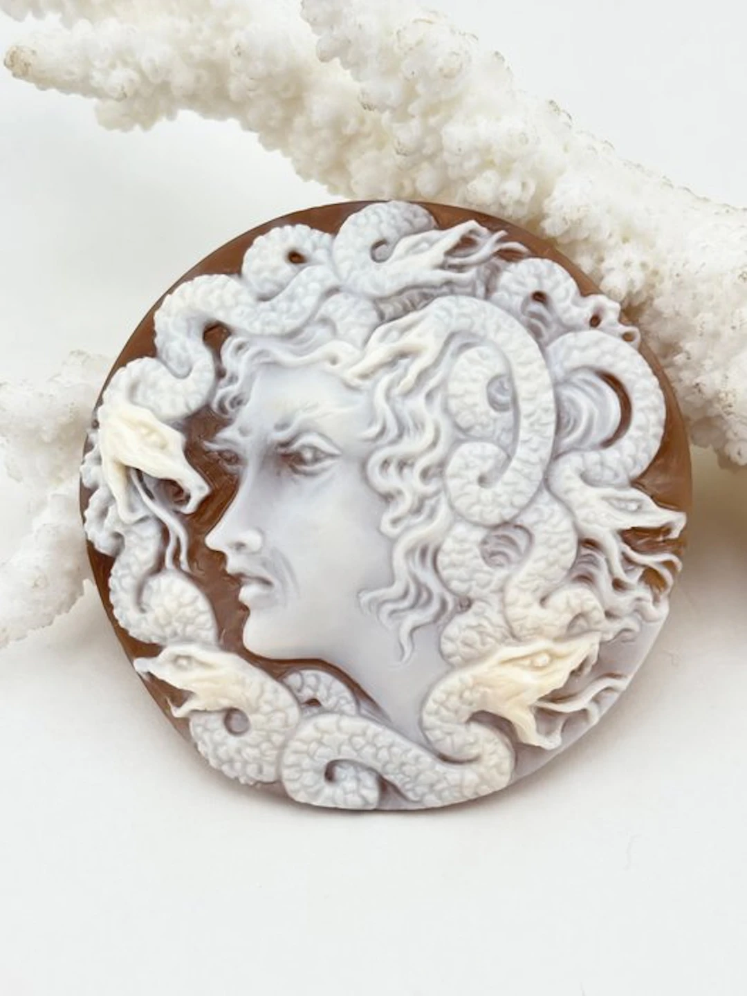 Medusa on Cassis madagascariensis - Cameo - Hand-carved cameo