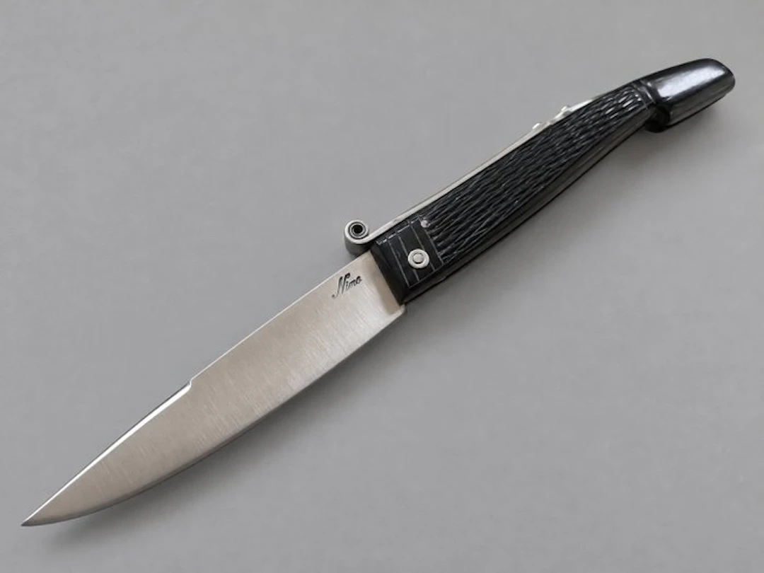 Nino Nista Nino Nista – Rara Saracca Romagnola 25 cm...