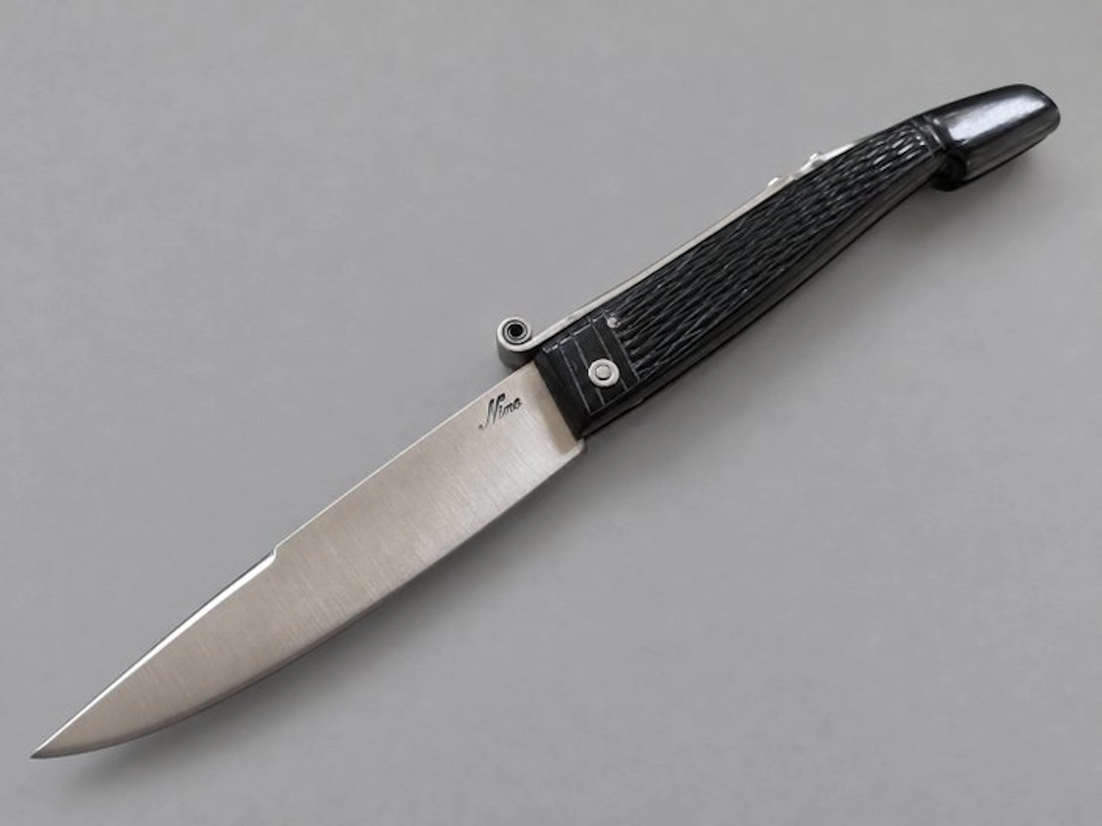 Nino Nista Nino Nista – Rara Saracca Romagnola 25 cm...